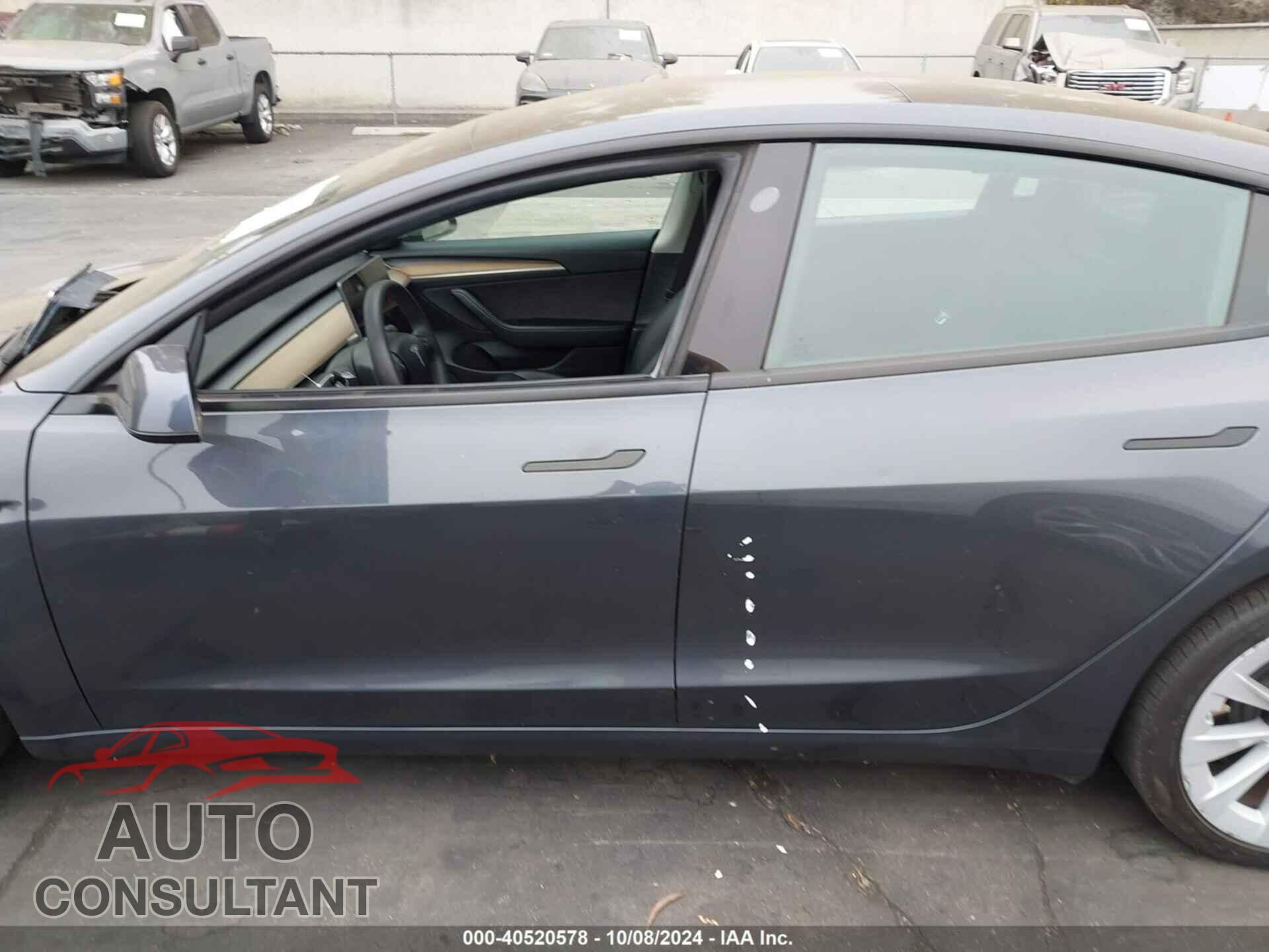 TESLA MODEL 3 2021 - 5YJ3E1EA1MF067784