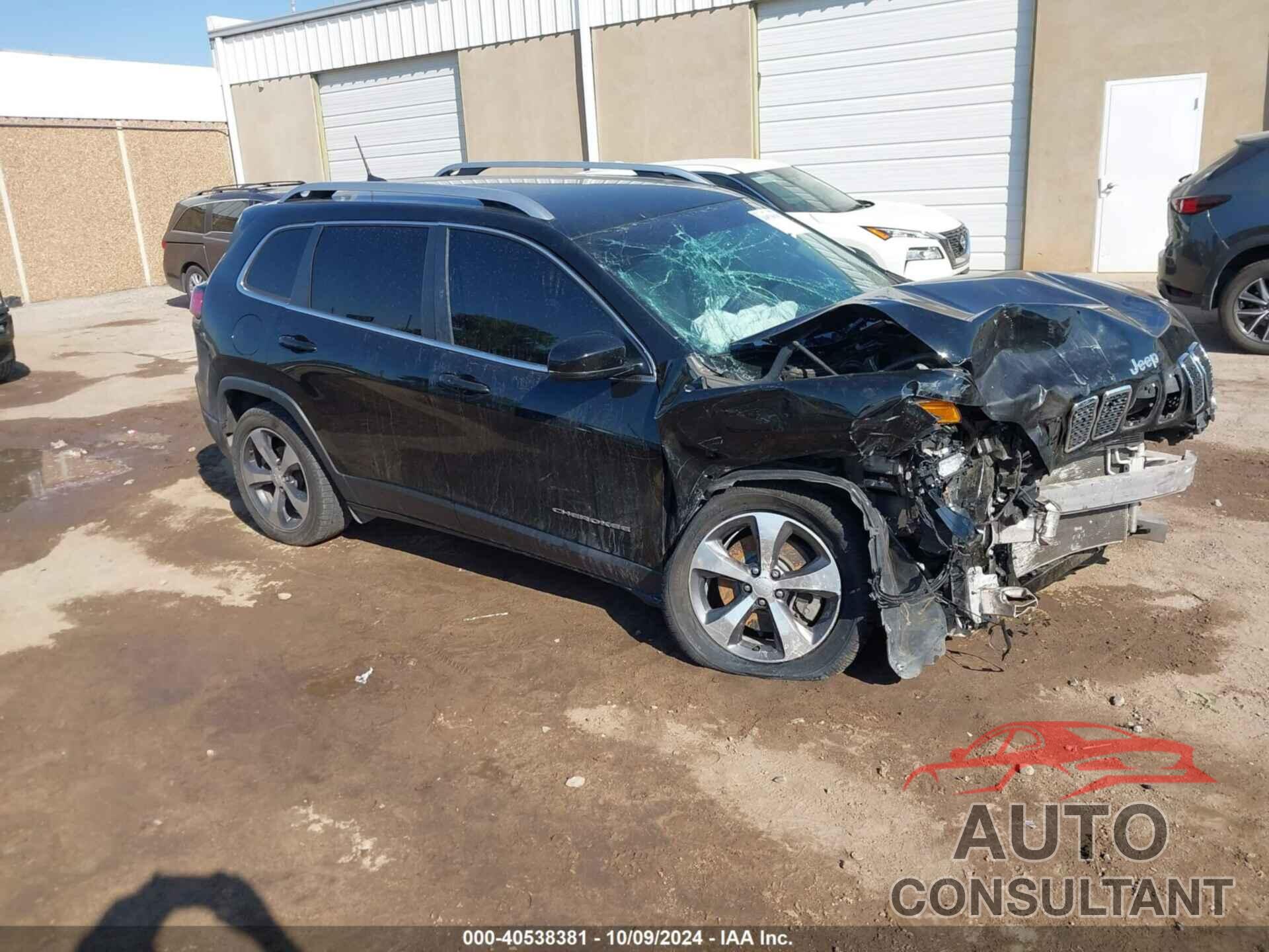 JEEP CHEROKEE 2019 - 1C4PJLDB3KD457857