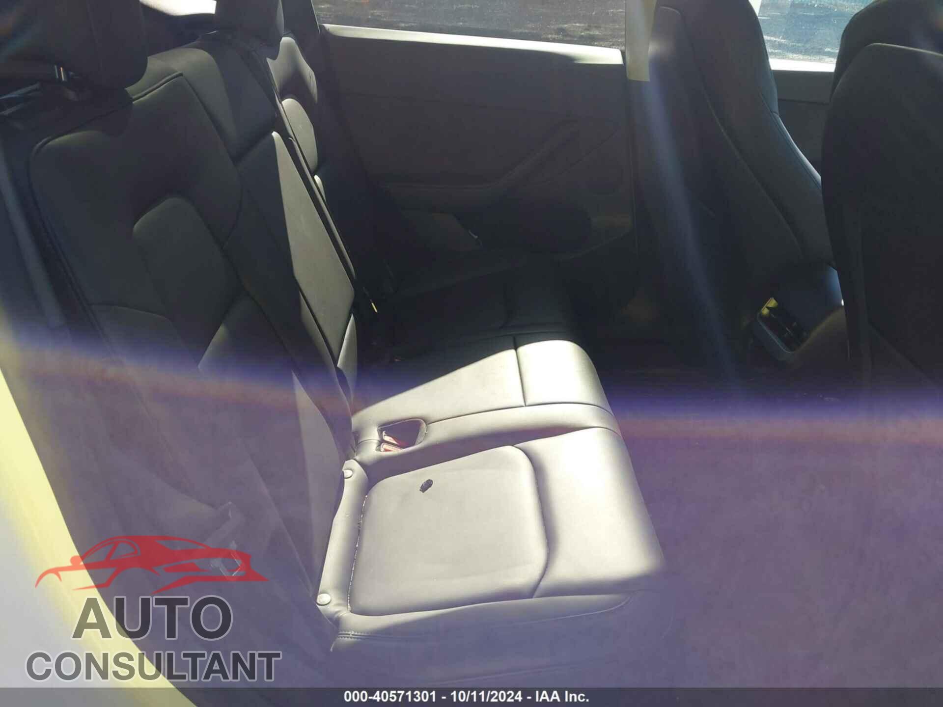 TESLA MODEL Y 2024 - 7SAYGDEE3RF007794
