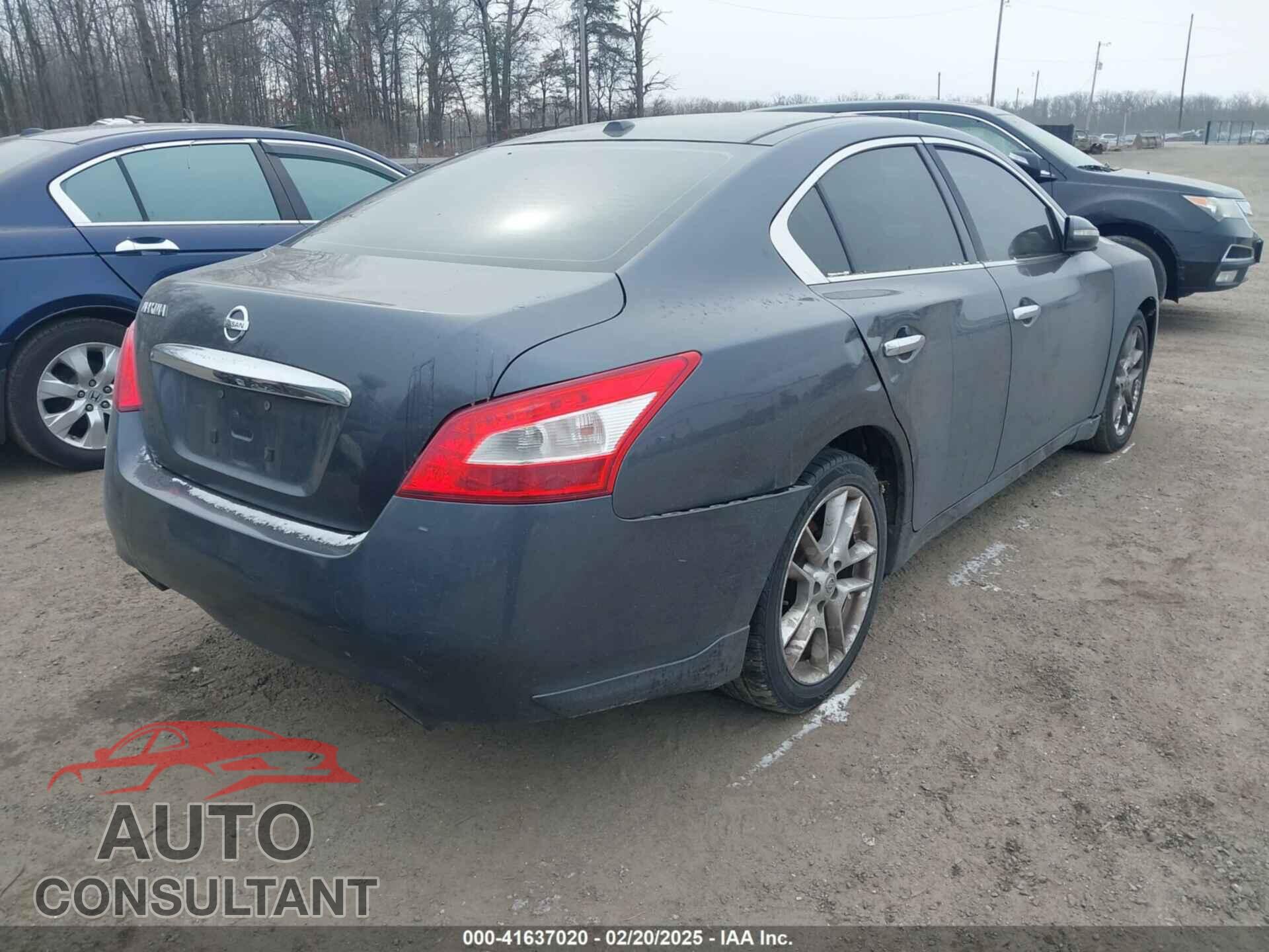 NISSAN MAXIMA 2009 - 1N4AA51E99C826310