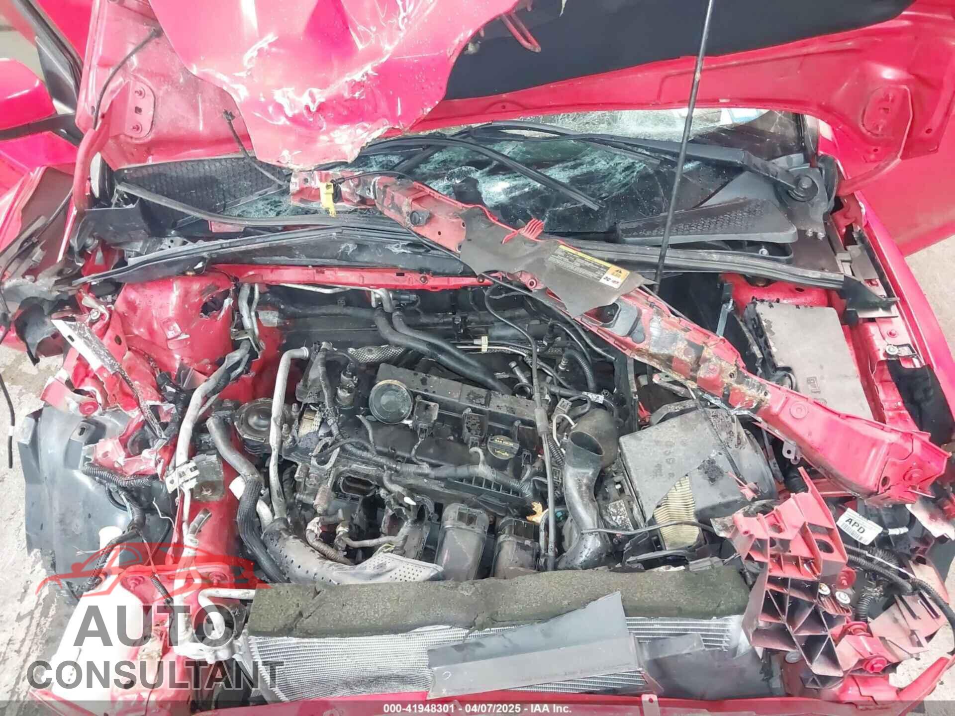 FORD FOCUS 2012 - 1FAHP3F20CL299541