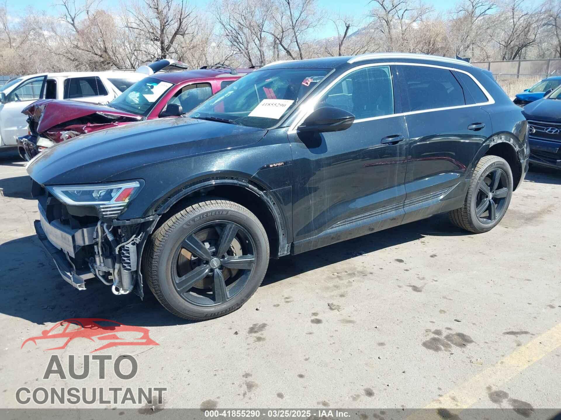 AUDI E-TRON 2019 - WA1LAAGE3KB024375