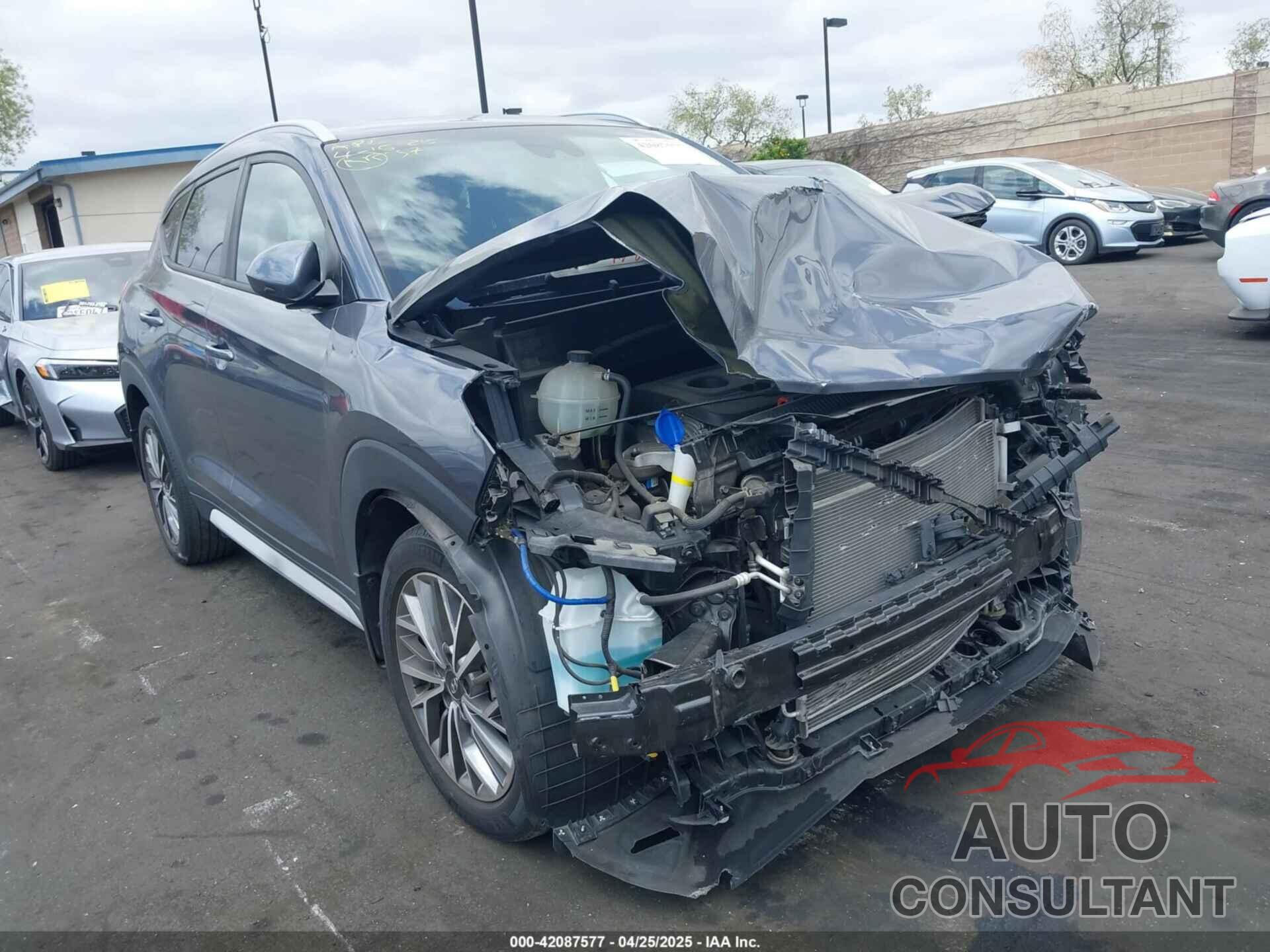 HYUNDAI TUCSON 2019 - KM8J33AL2KU954388