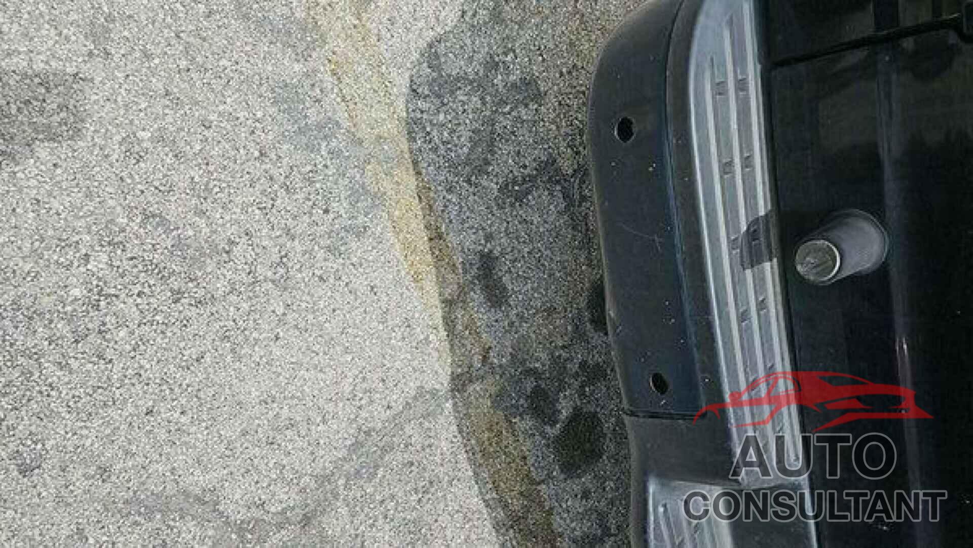 NISSAN NV 2019 - 1N6BF0LY0KN803435