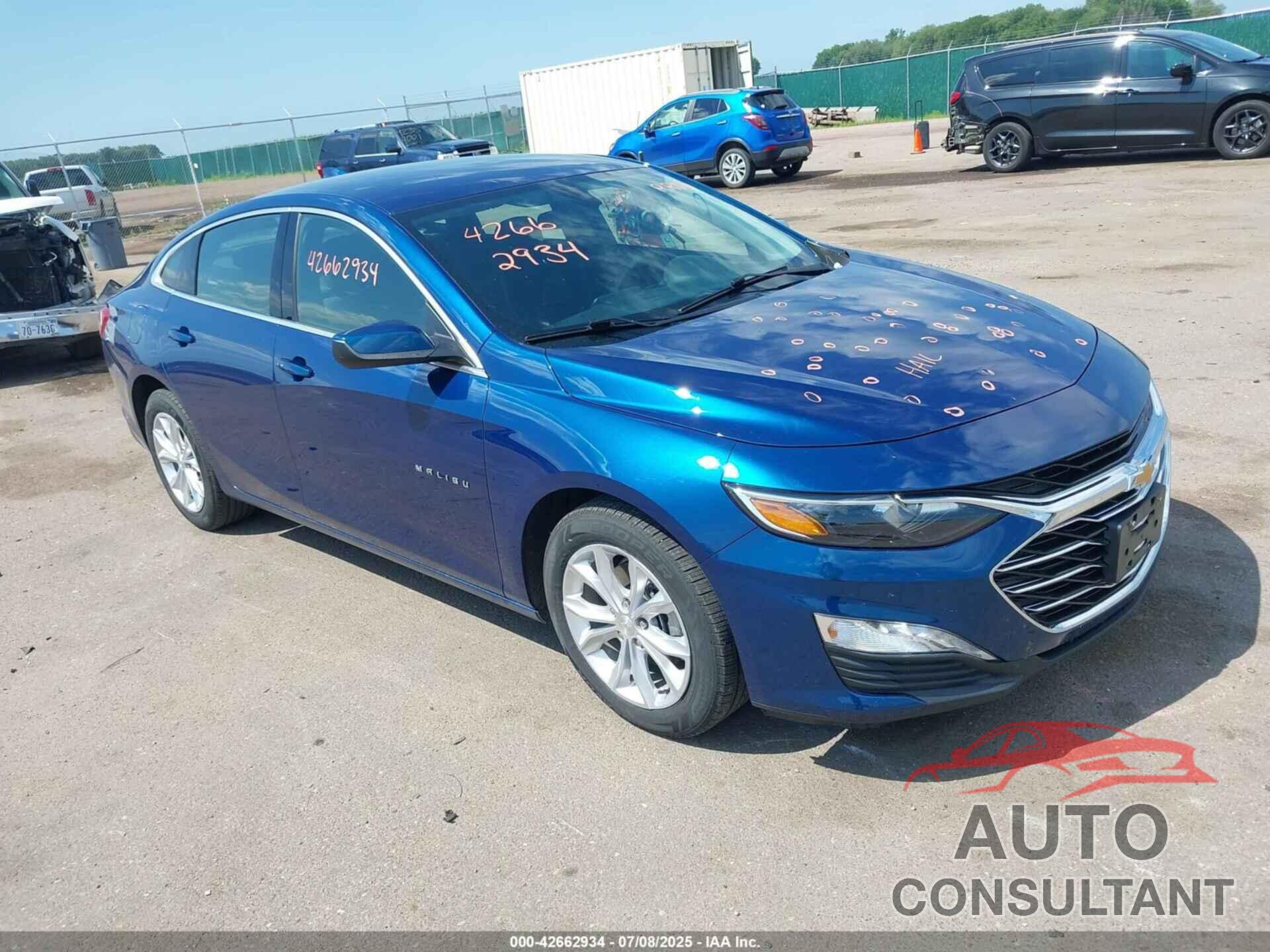 CHEVROLET MALIBU 2019 - 1G1ZD5ST1KF144178