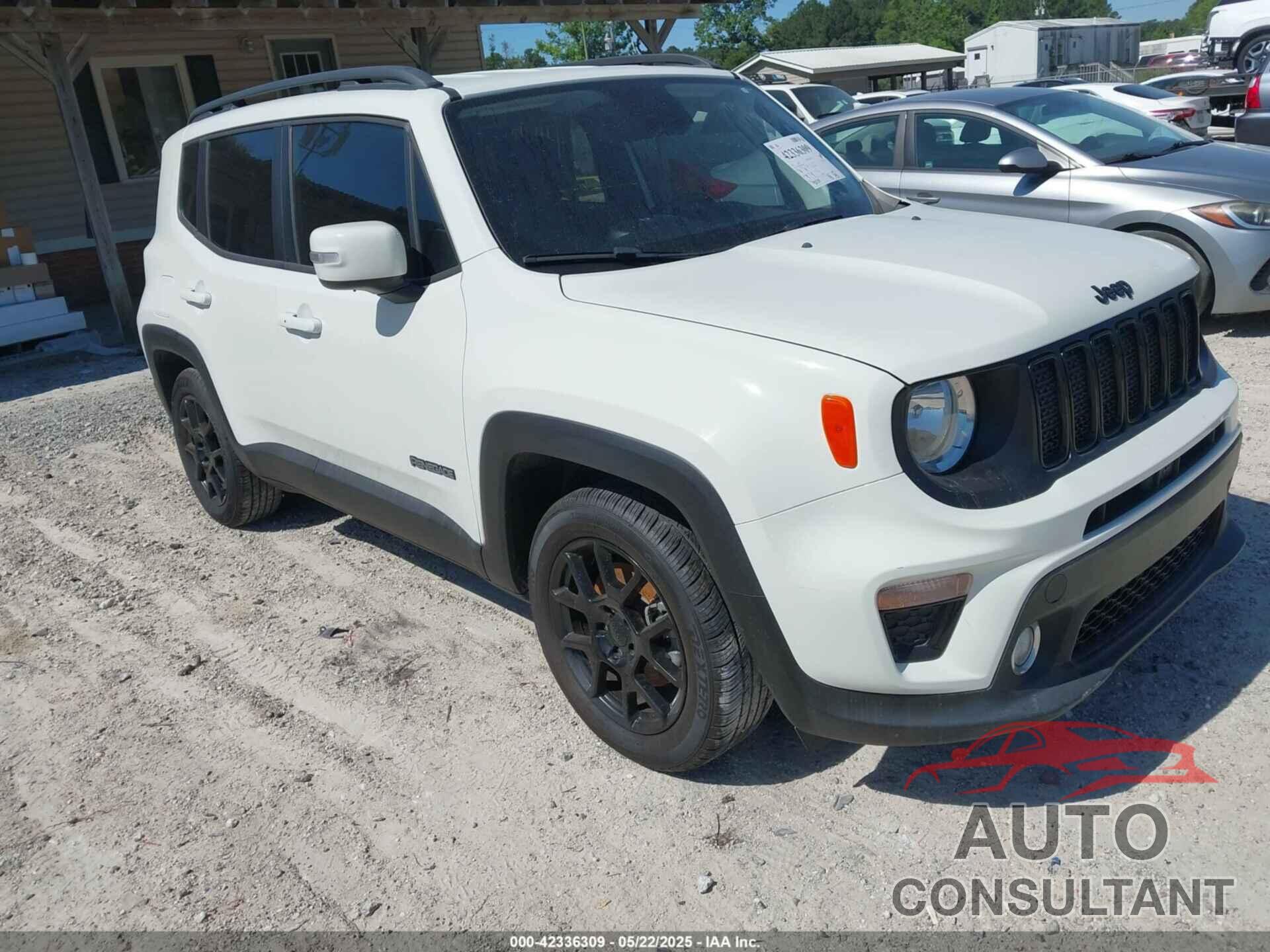 JEEP RENEGADE 2019 - ZACNJAB16KPK42882