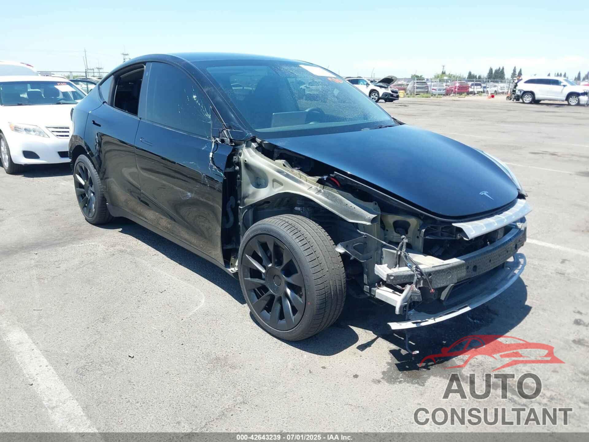 TESLA MODEL Y 2021 - 5YJYGDEE7MF173144