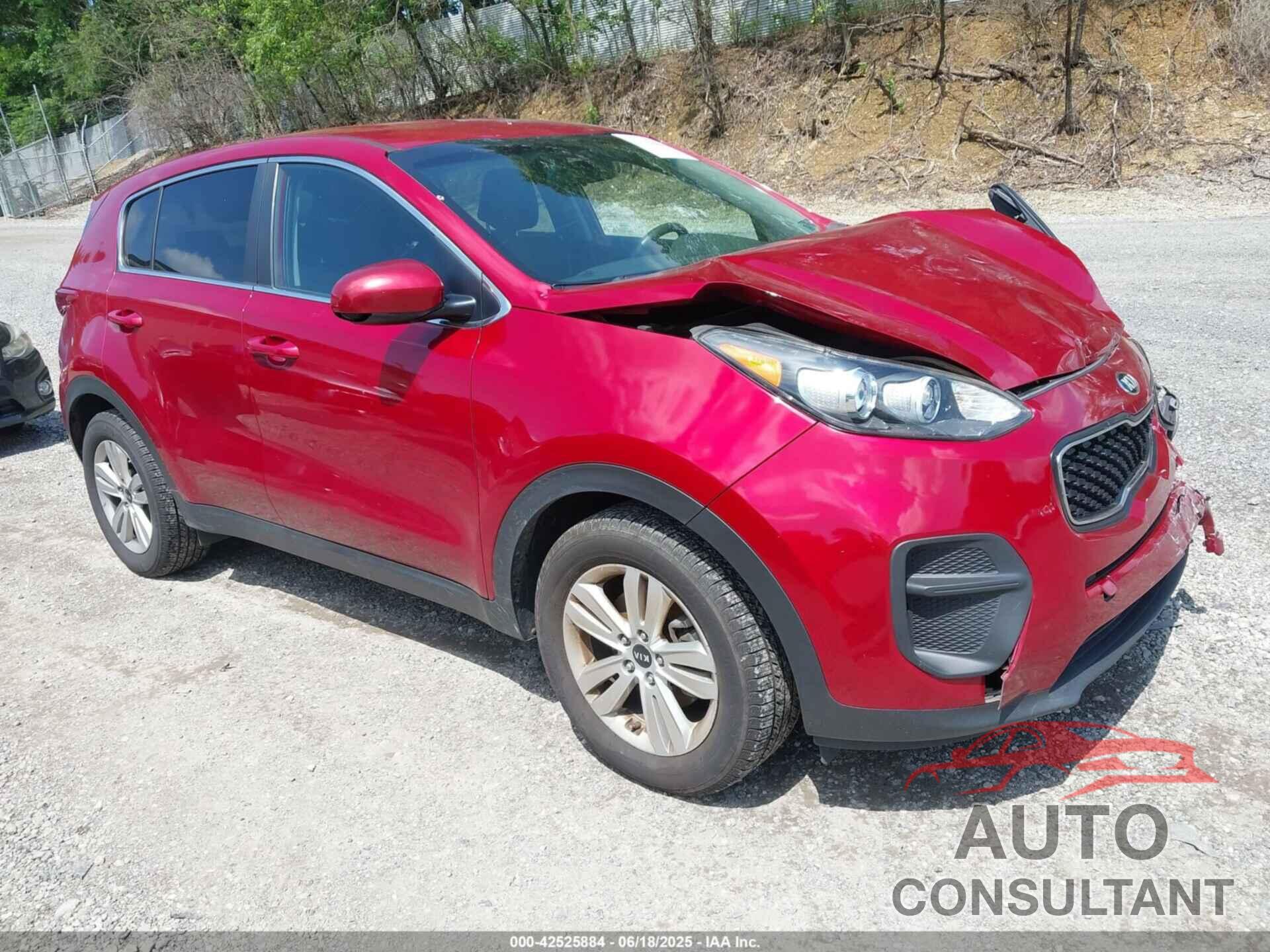 KIA SPORTAGE 2017 - KNDPM3AC4H7232732