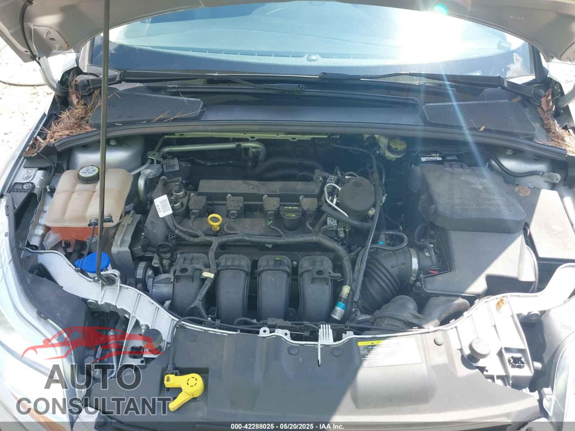 FORD FOCUS 2012 - 1FAHP3F29CL452465