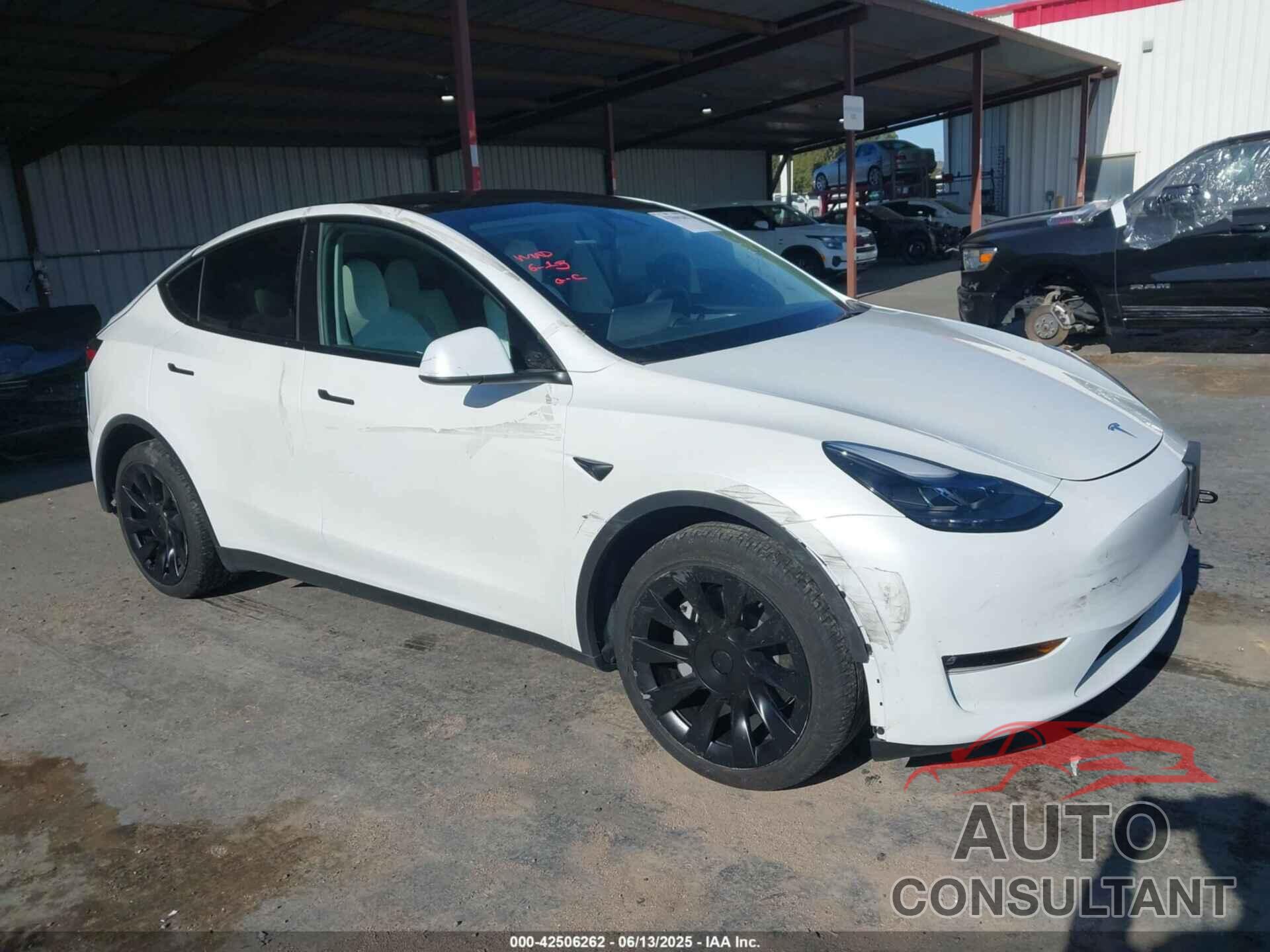 TESLA MODEL Y 2024 - 7SAYGDEE8RF983795