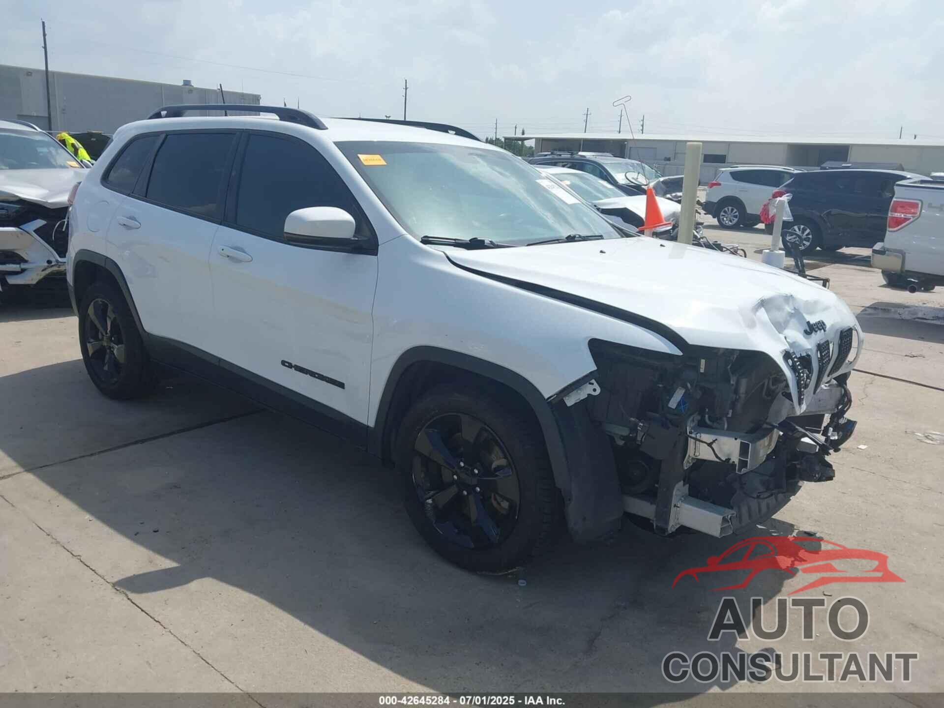 JEEP CHEROKEE 2019 - 1C4PJLLB0KD339251