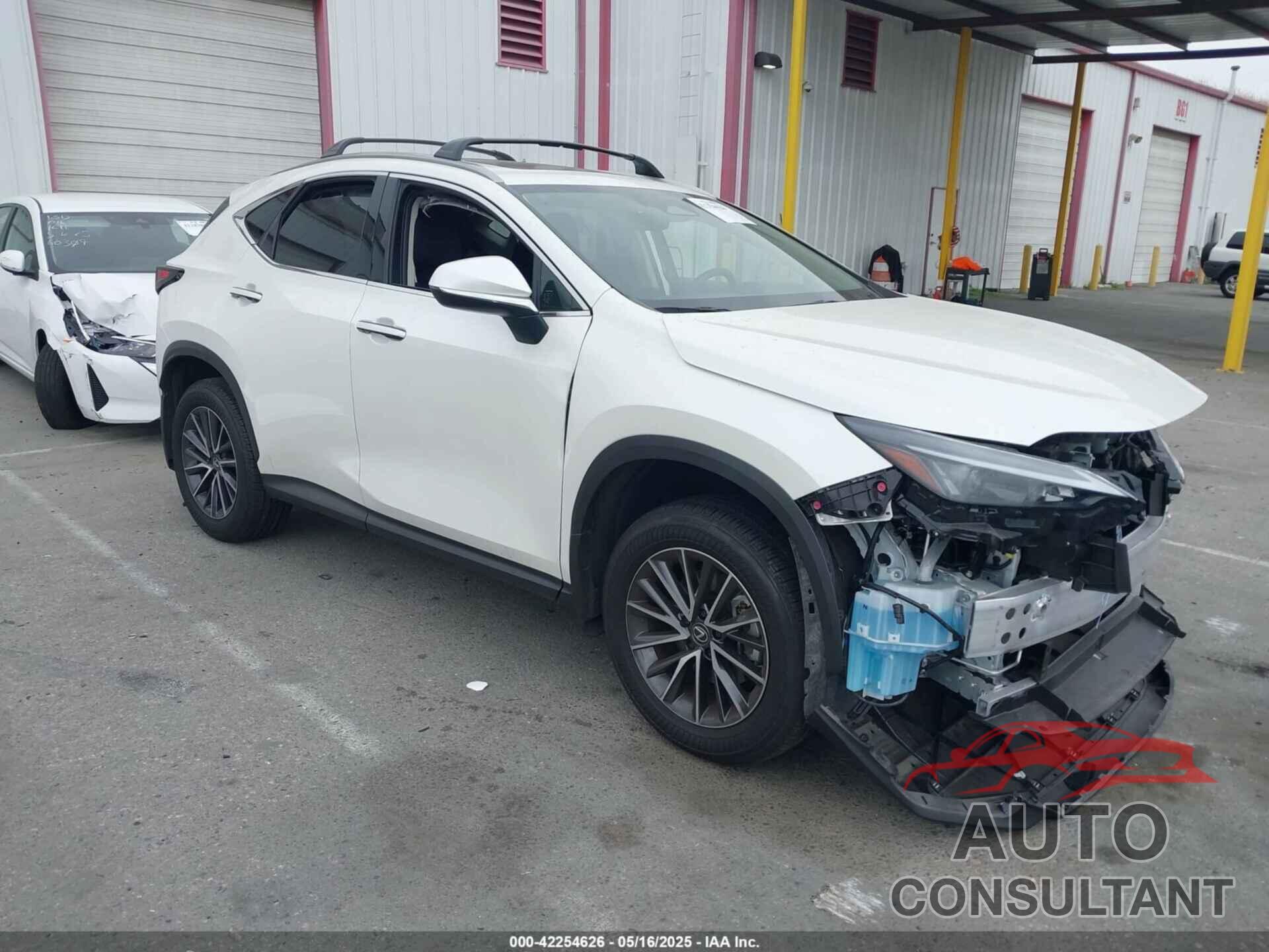LEXUS NX 250 2025 - JTJADCAZ0S2016372