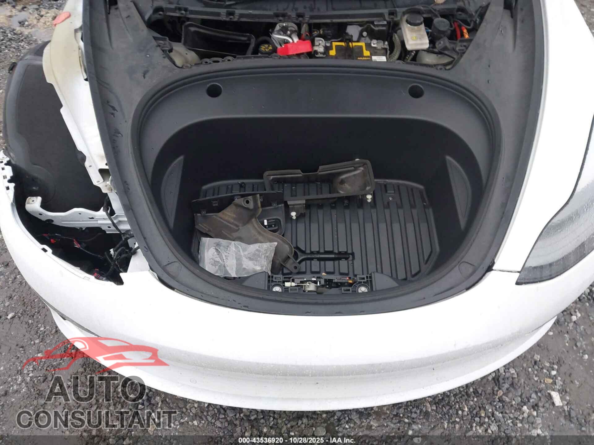 TESLA MODEL 3 2021 - 5YJ3E1EA2MF913341