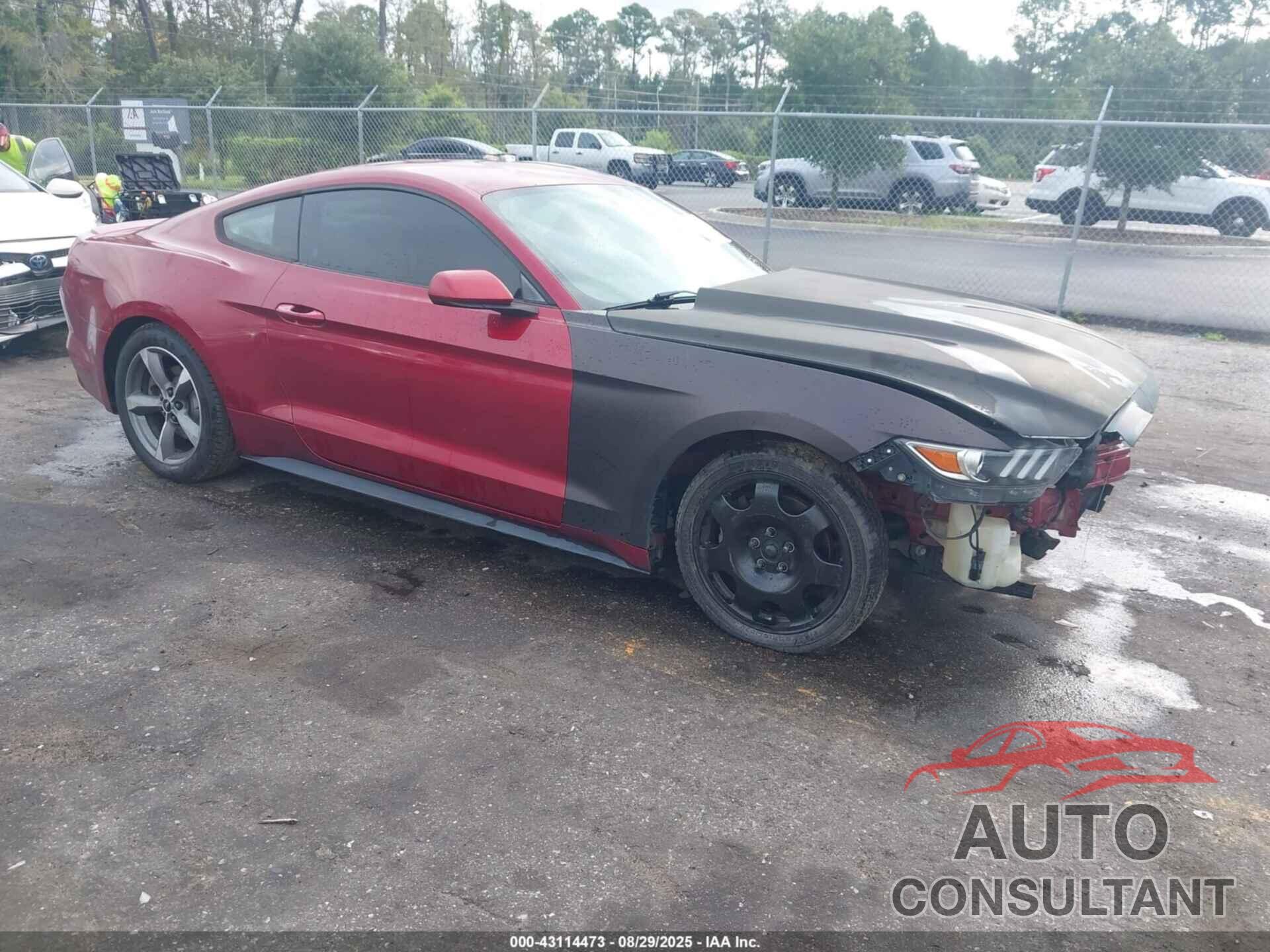 FORD MUSTANG 2016 - 1FA6P8AM5G5305082