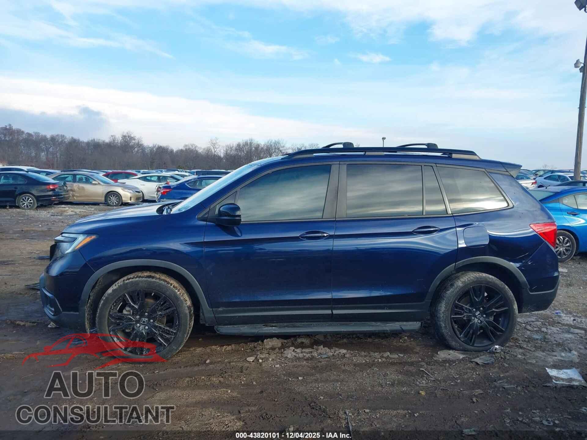HONDA PASSPORT 2019 - 5FNYF8H21KB013169