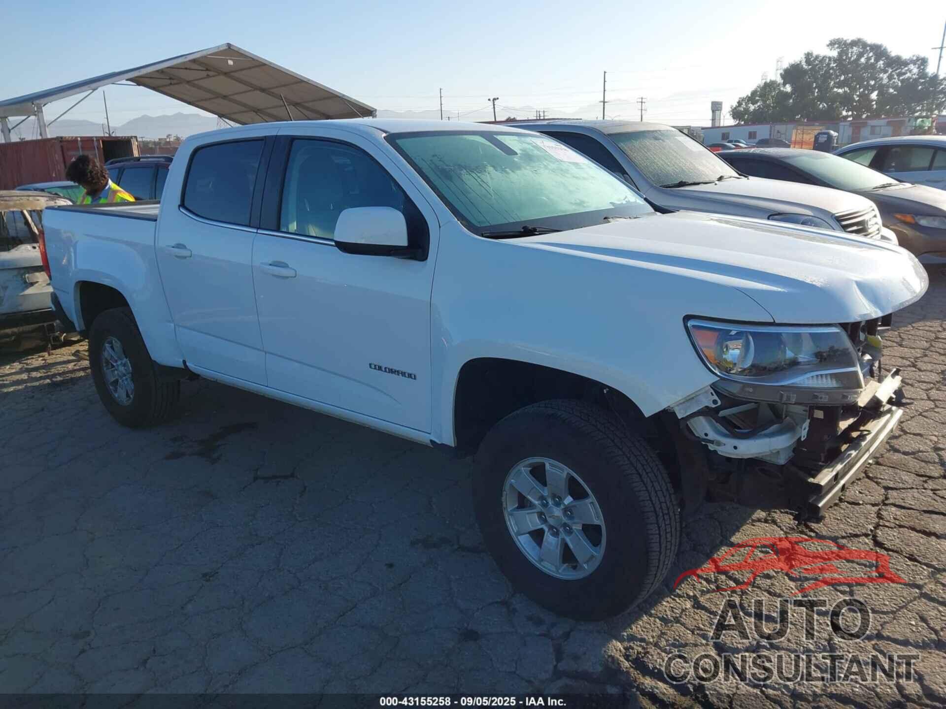 CHEVROLET COLORADO 2019 - 1GCGSBEN9K1332203