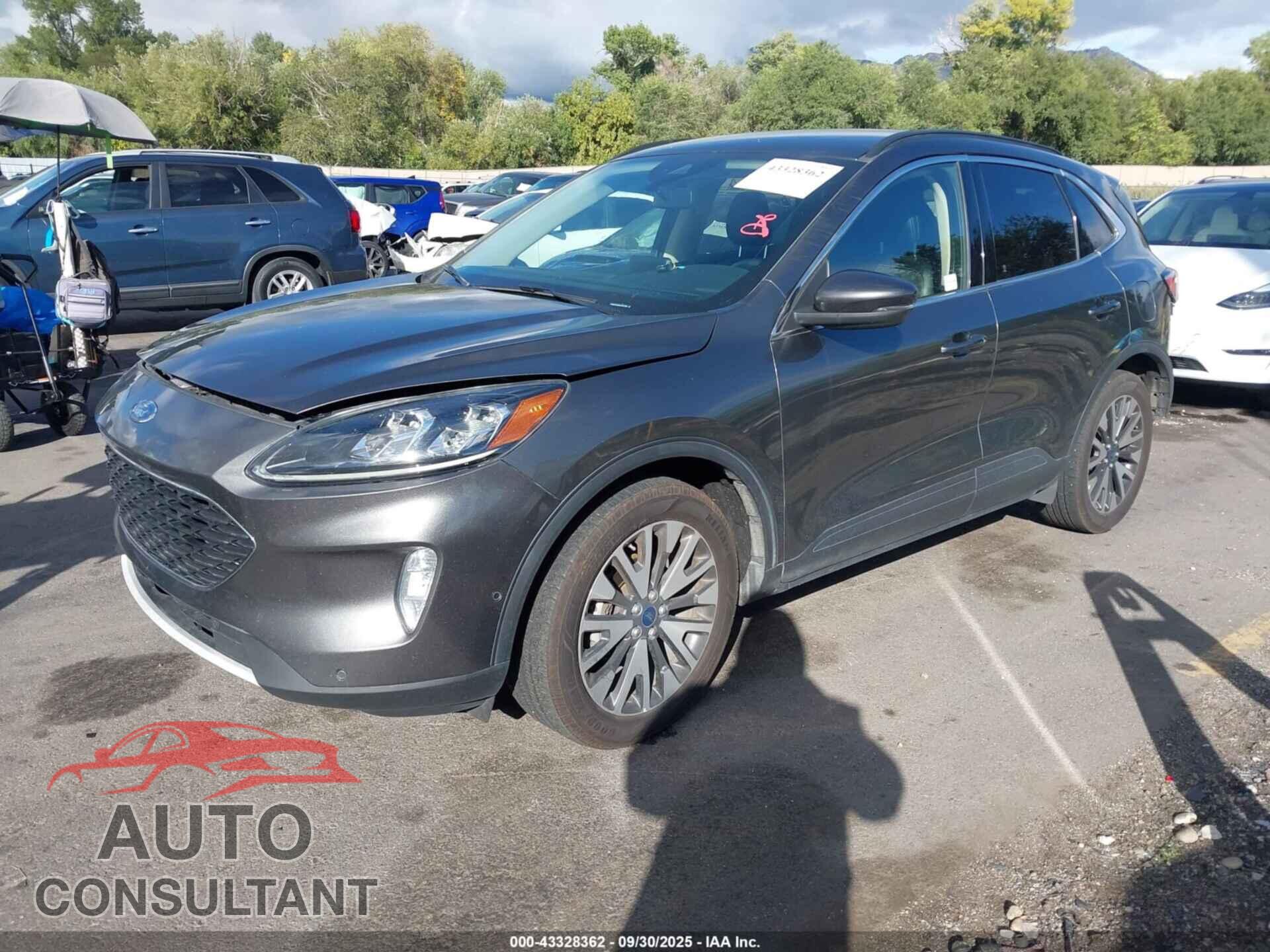 FORD ESCAPE 2020 - 1FMCU9J96LUA81355
