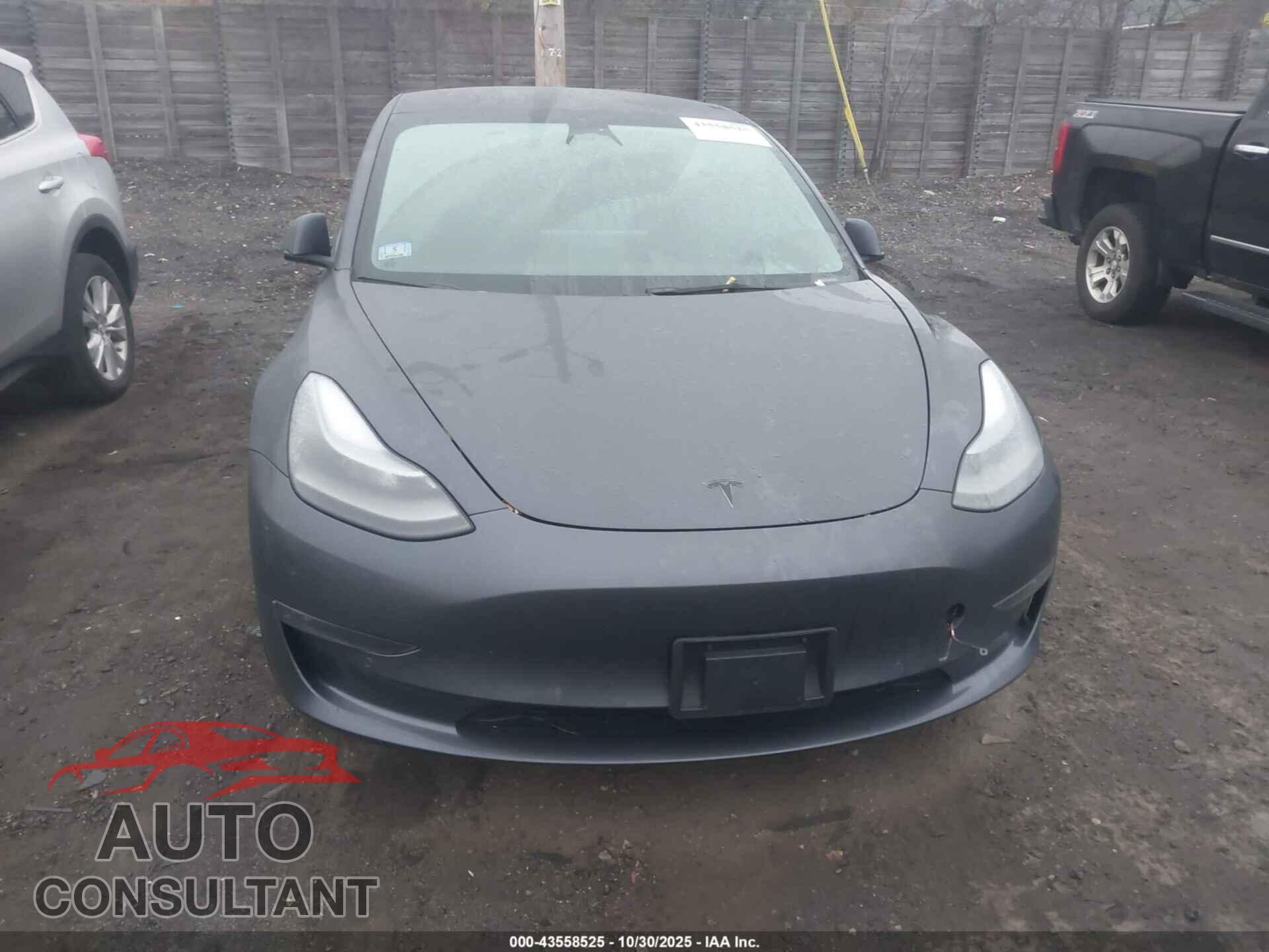 TESLA MODEL 3 2022 - 5YJ3E1EB5NF181927