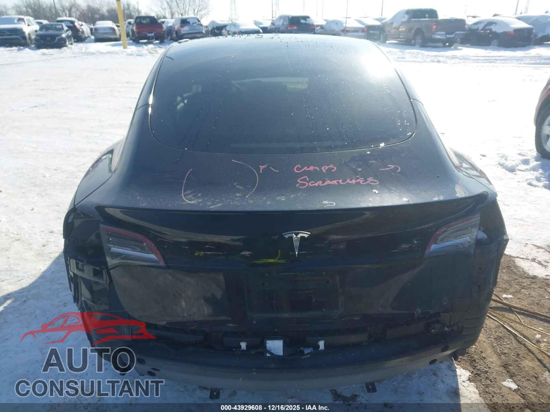 TESLA MODEL 3 2023 - 5YJ3E1EA2PF446992