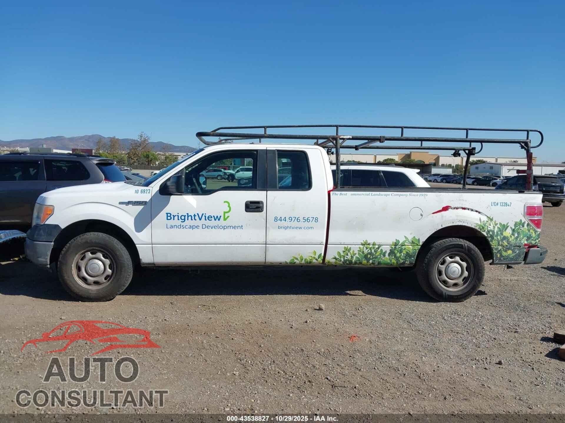 FORD F-150 2013 - 1FTFX1CF5DKE35781