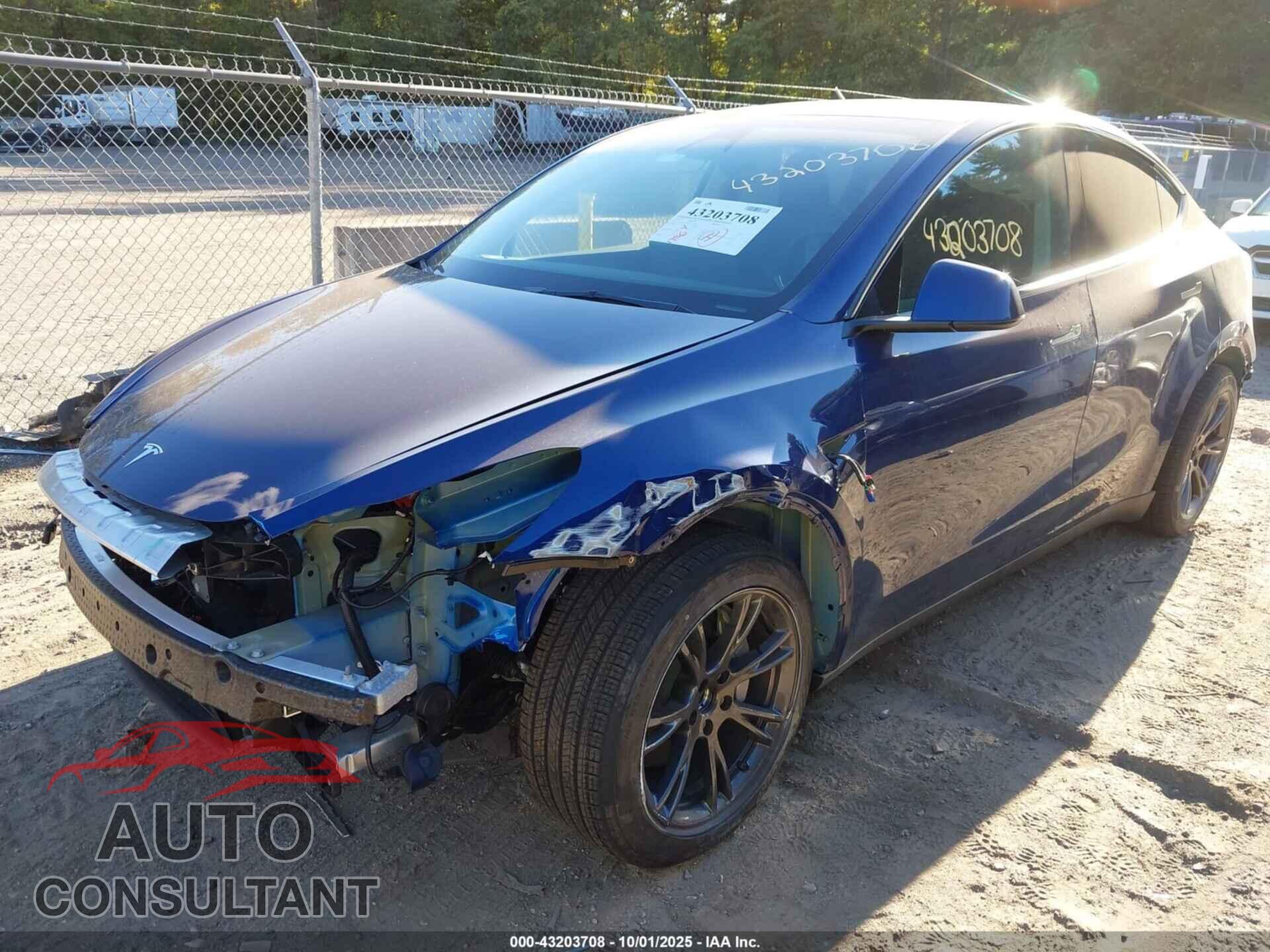 TESLA MODEL Y 2024 - 7SAYGDED6RF133719