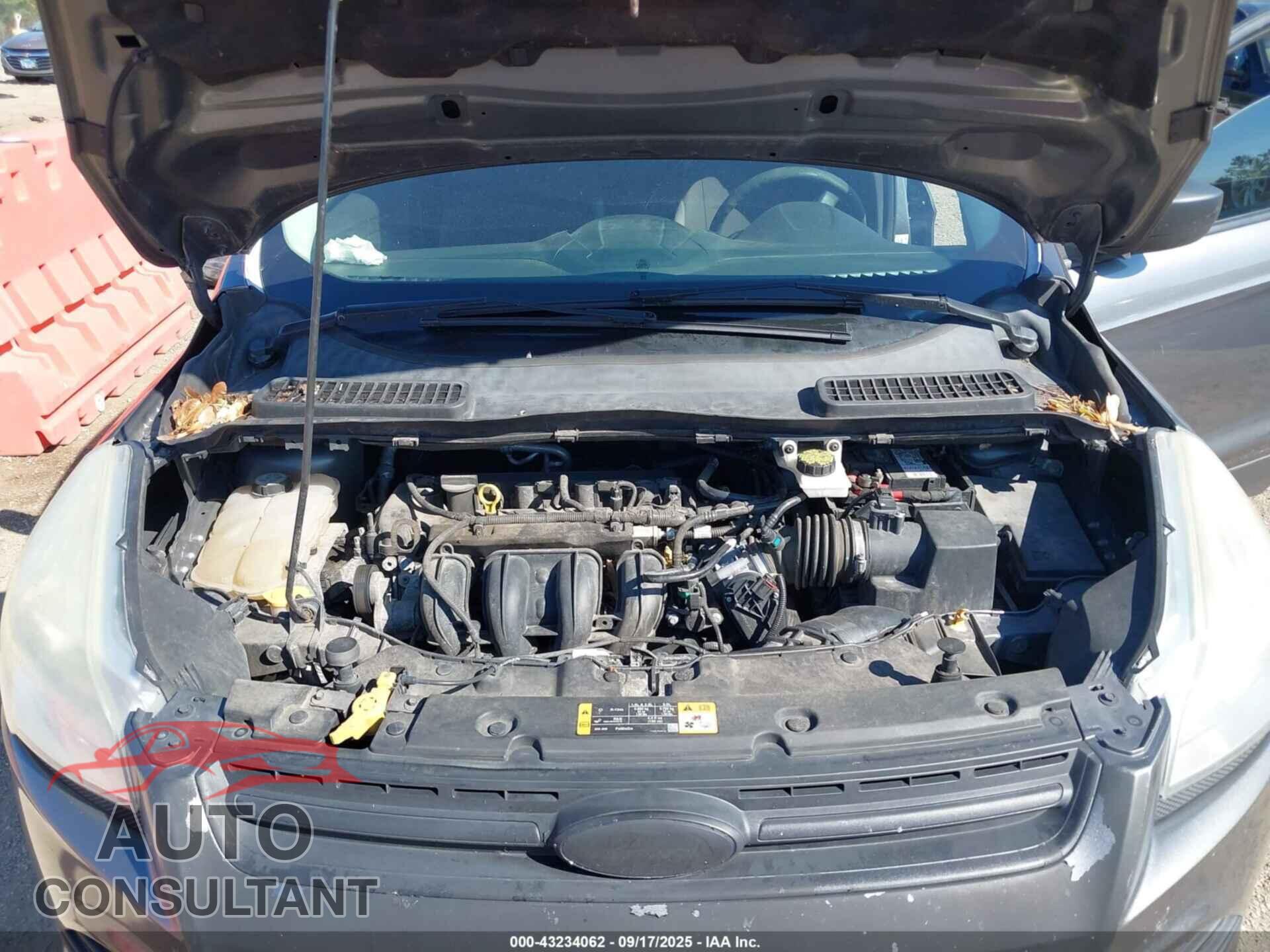 FORD ESCAPE 2013 - 1FMCU0F71DUB82002