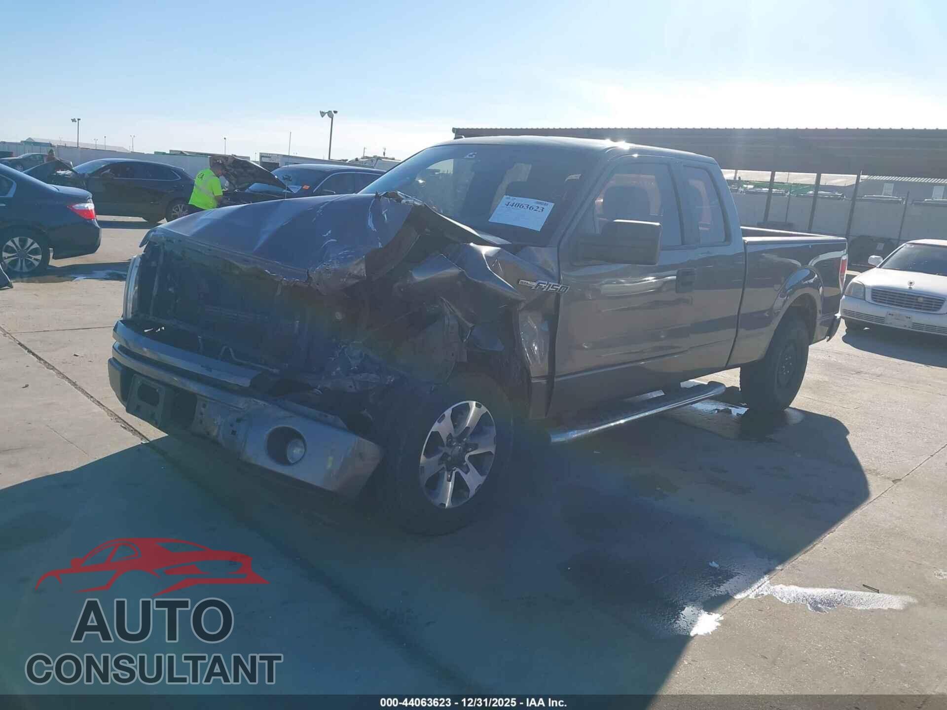 FORD F-150 2013 - 1FTFX1CFXDFD80897