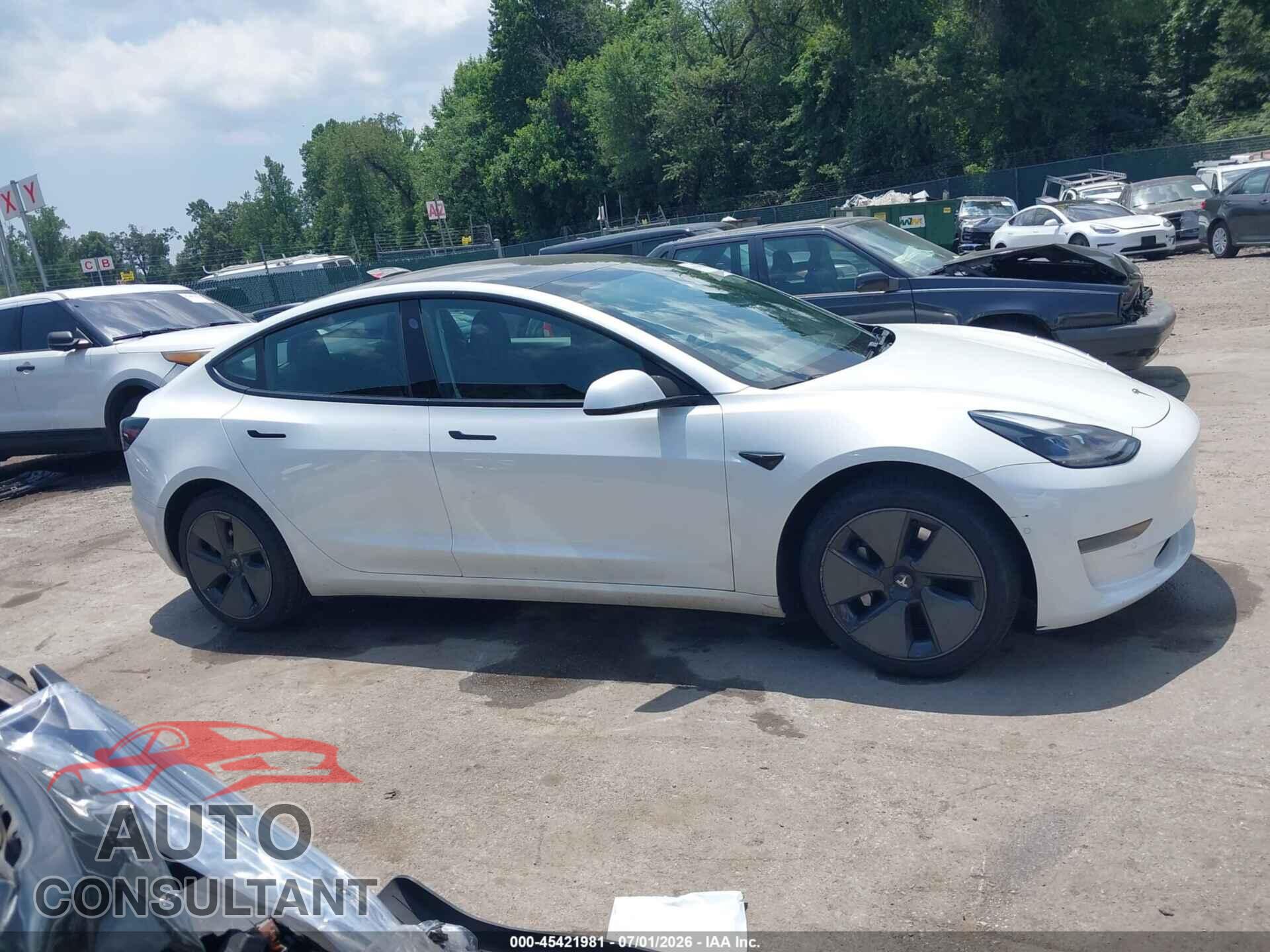 TESLA MODEL 3 2021 - 5YJ3E1EA5MF968995
