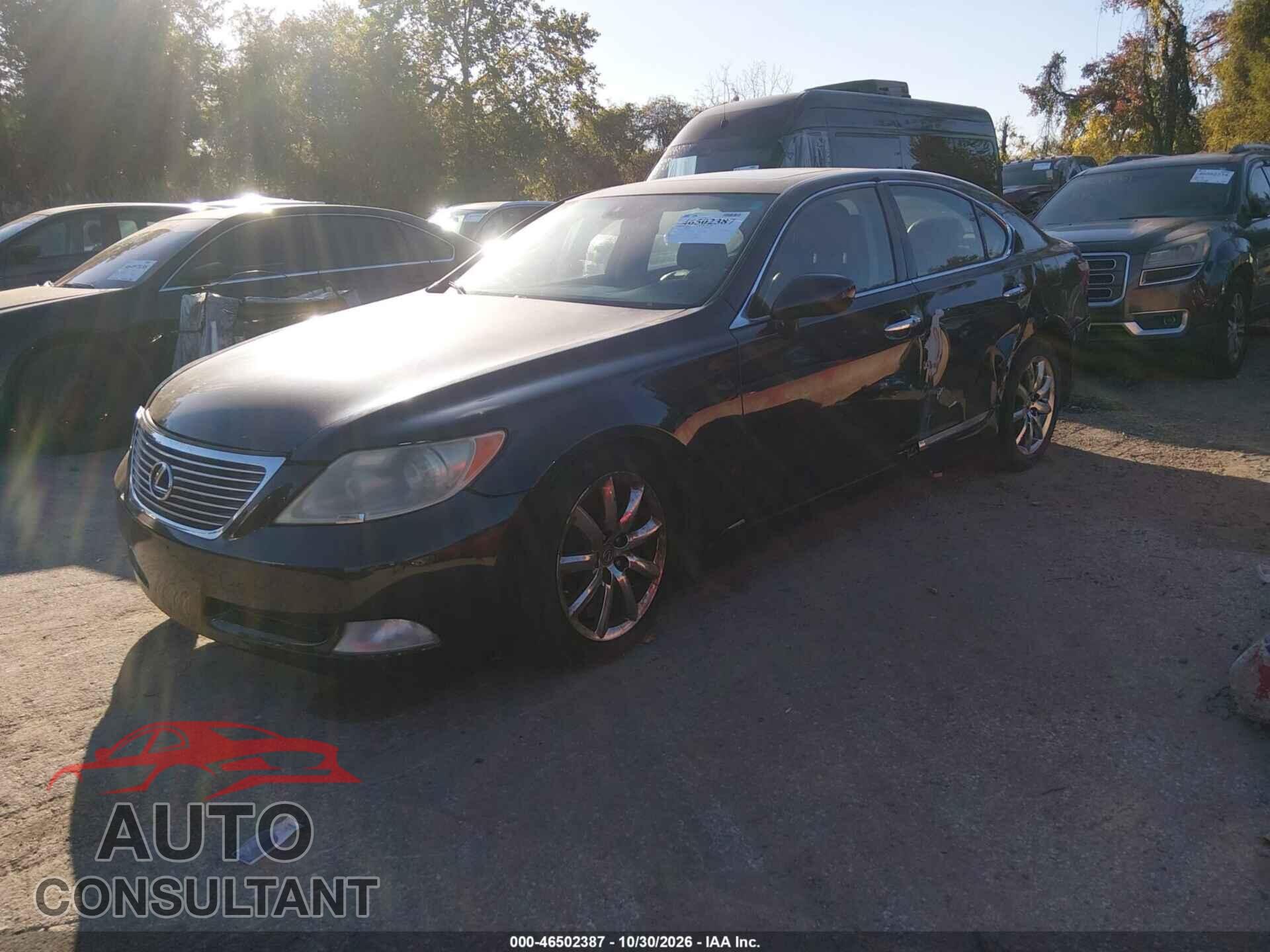 LEXUS LS 460 2009 - JTHCL46F295003407