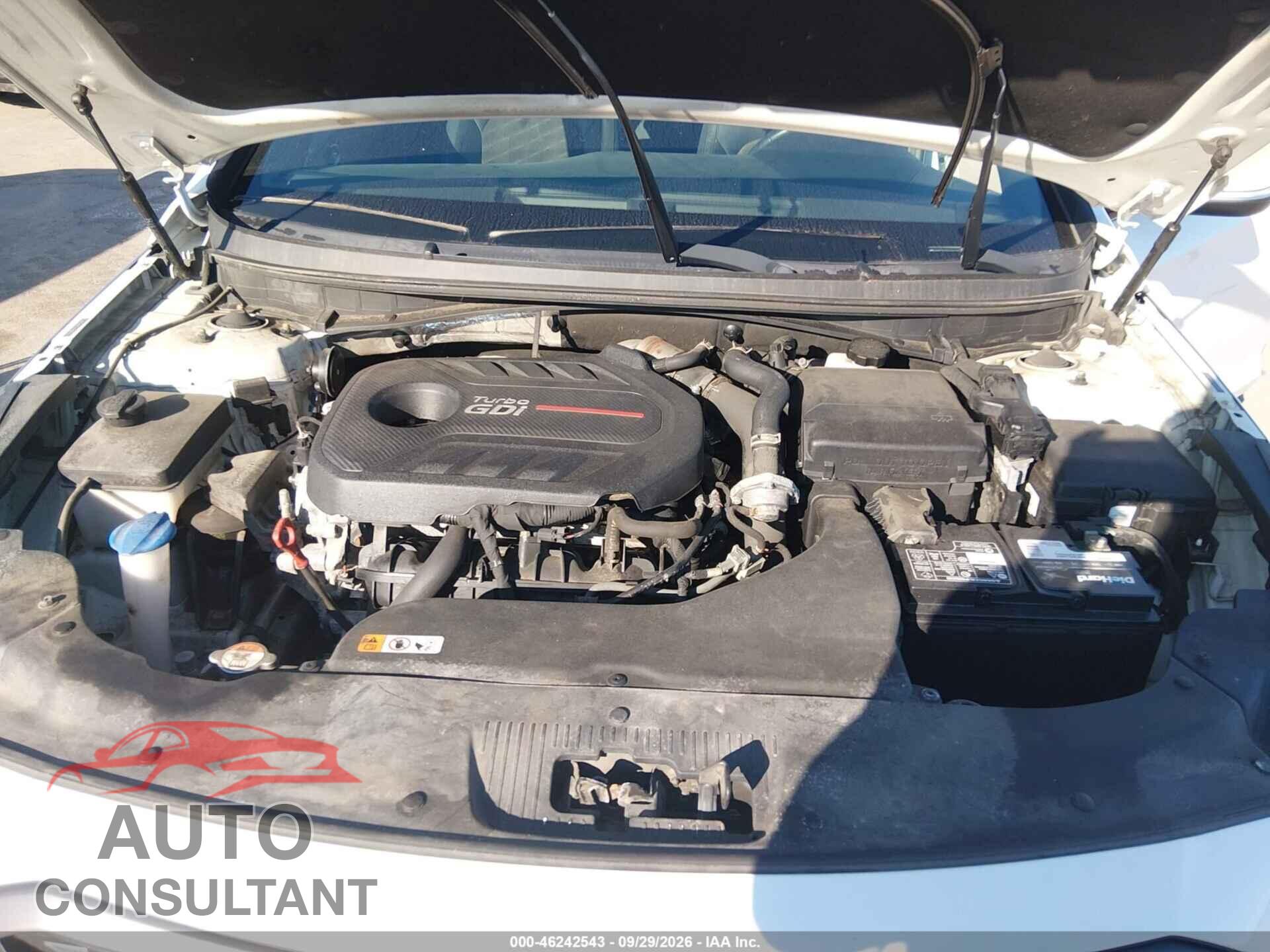 HYUNDAI SONATA 2017 - 5NPE34AB3HH502004
