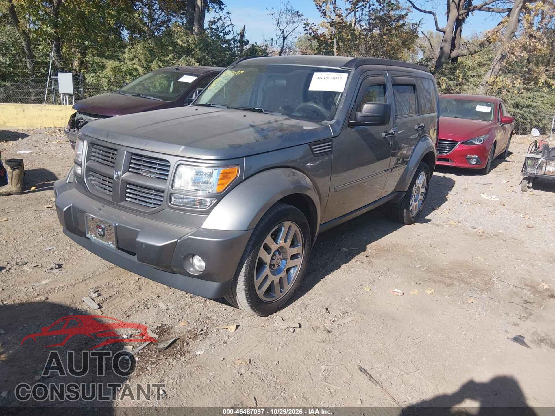 DODGE NITRO 2011 - 1D4PU4GK8BW606229