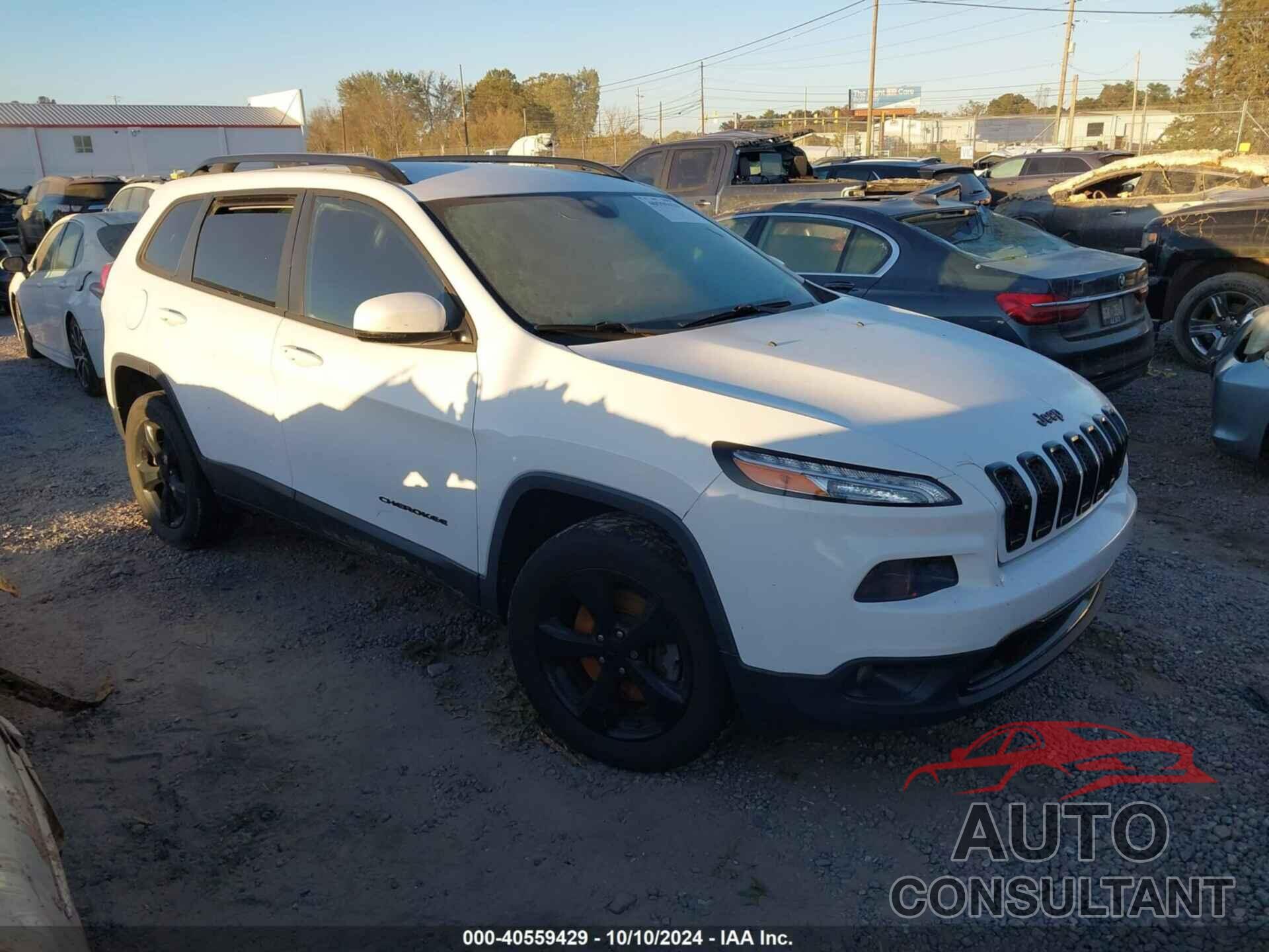 JEEP CHEROKEE 2017 - 1C4PJMDB0HW615879