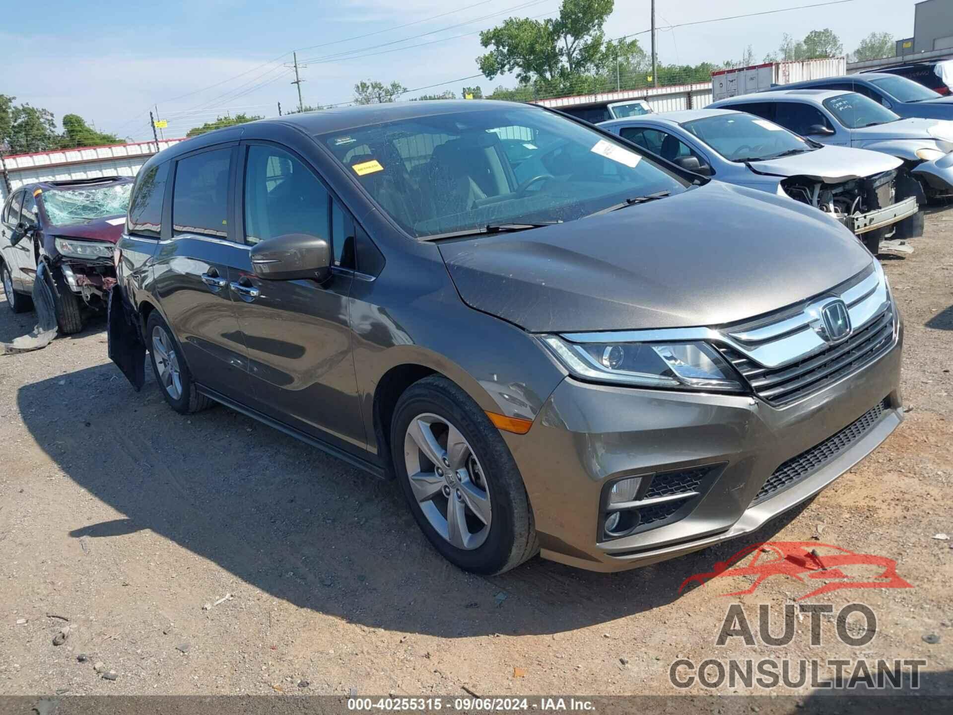 HONDA ODYSSEY 2019 - 5FNRL6H79KB066943