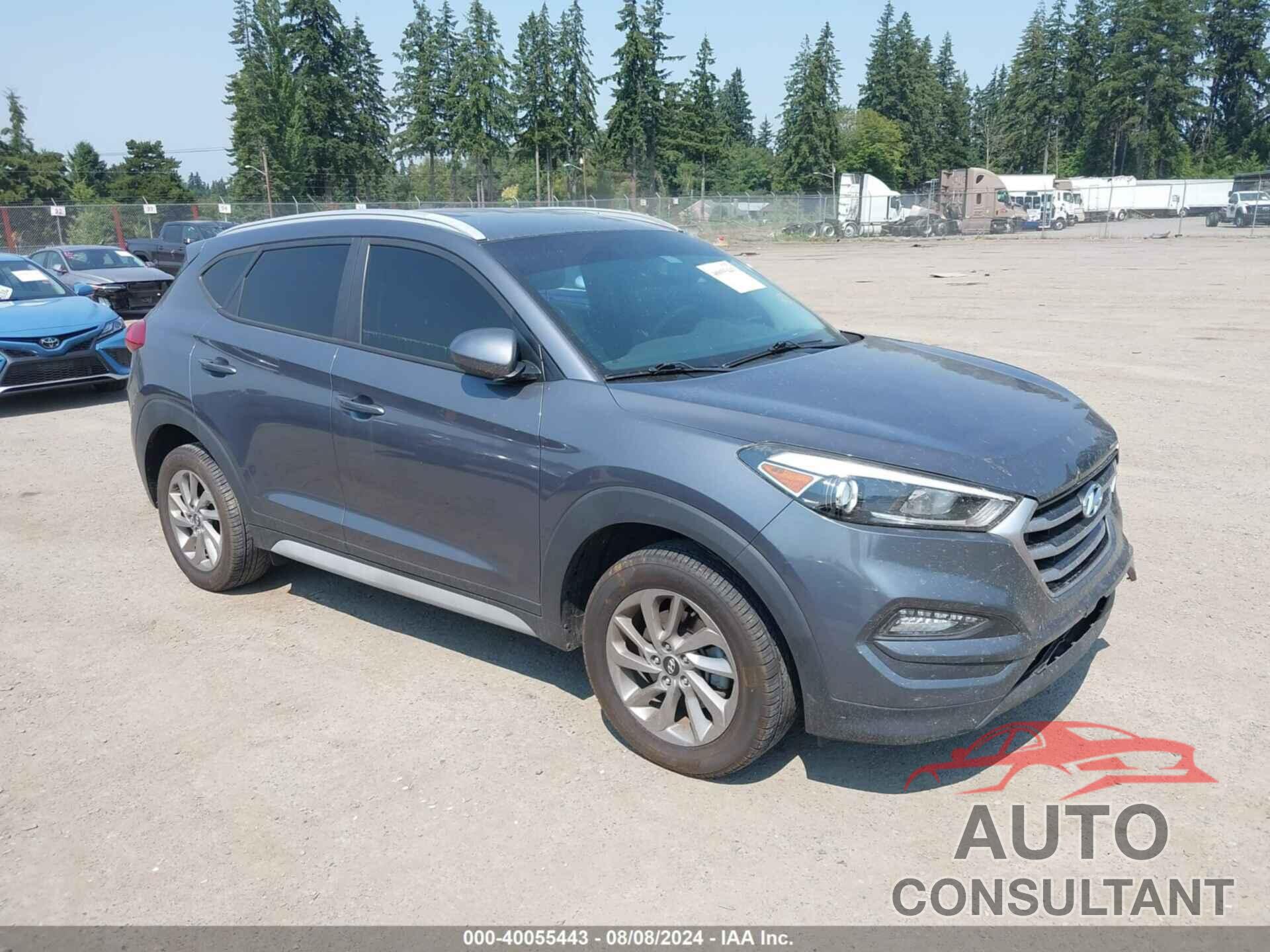 HYUNDAI TUCSON 2017 - KM8J3CA43HU444603