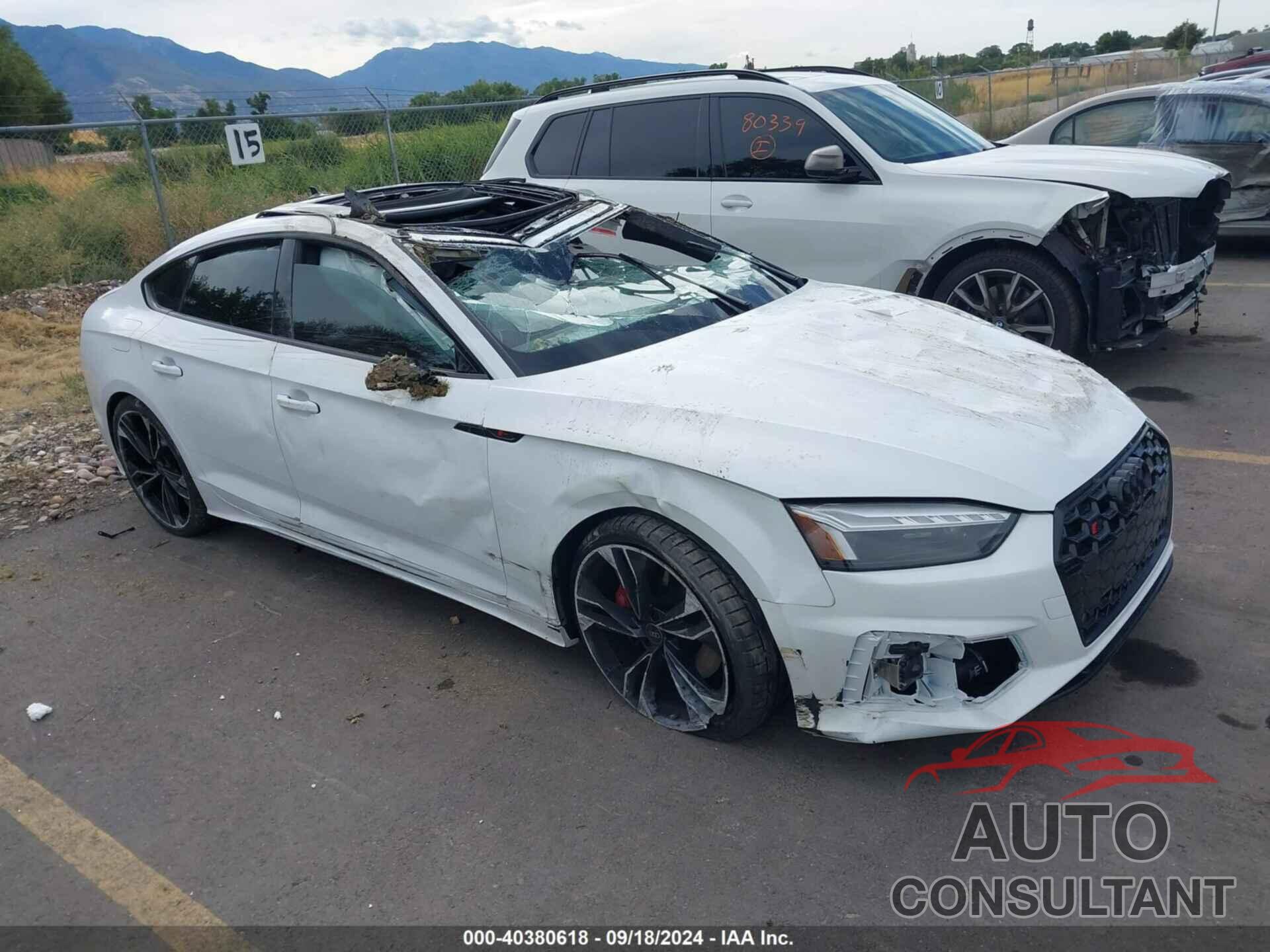 AUDI S5 SPORTBACK 2024 - WAUC4CF51RA094190