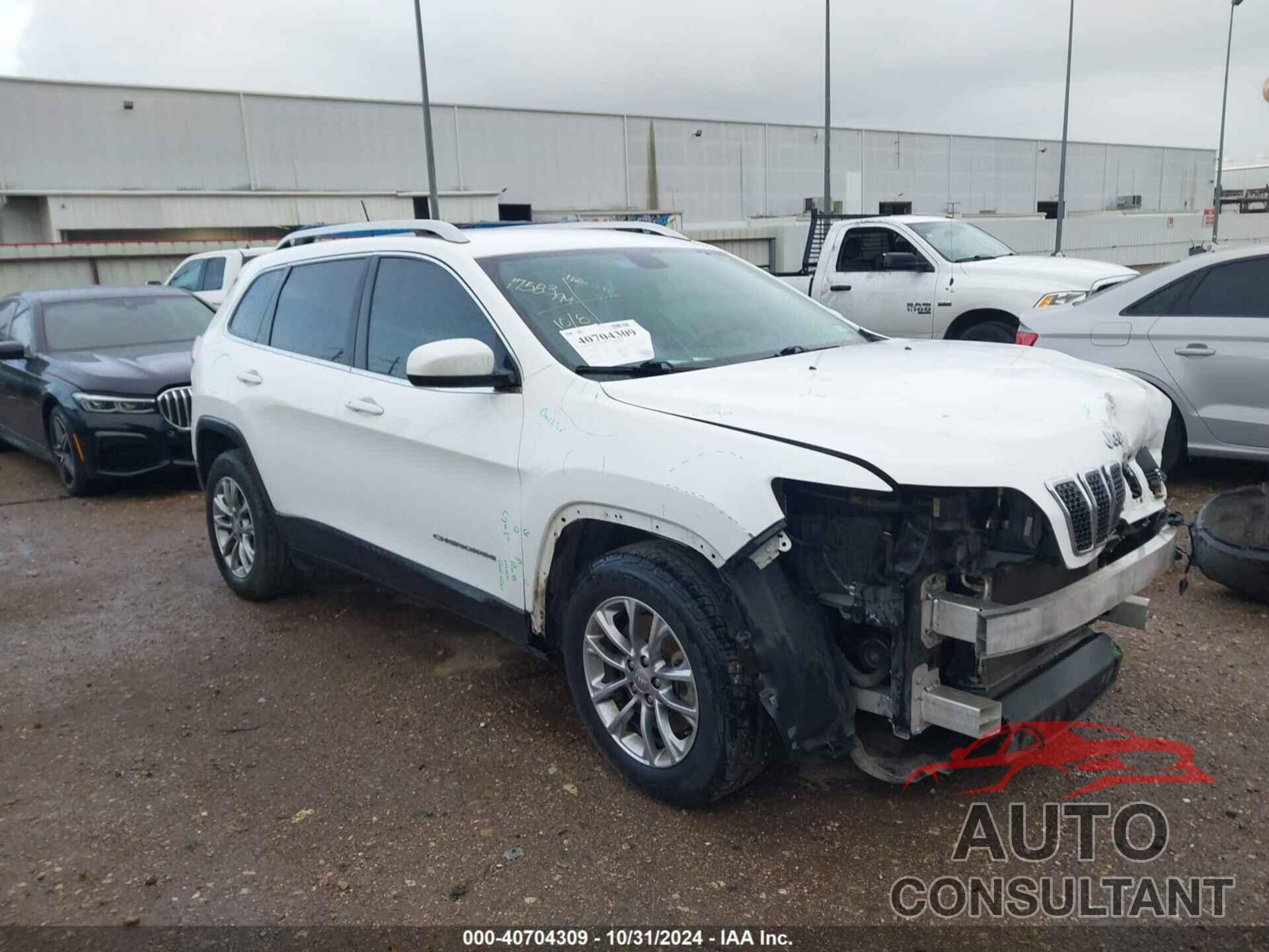 JEEP CHEROKEE 2019 - 1C4PJLLBXKD154513