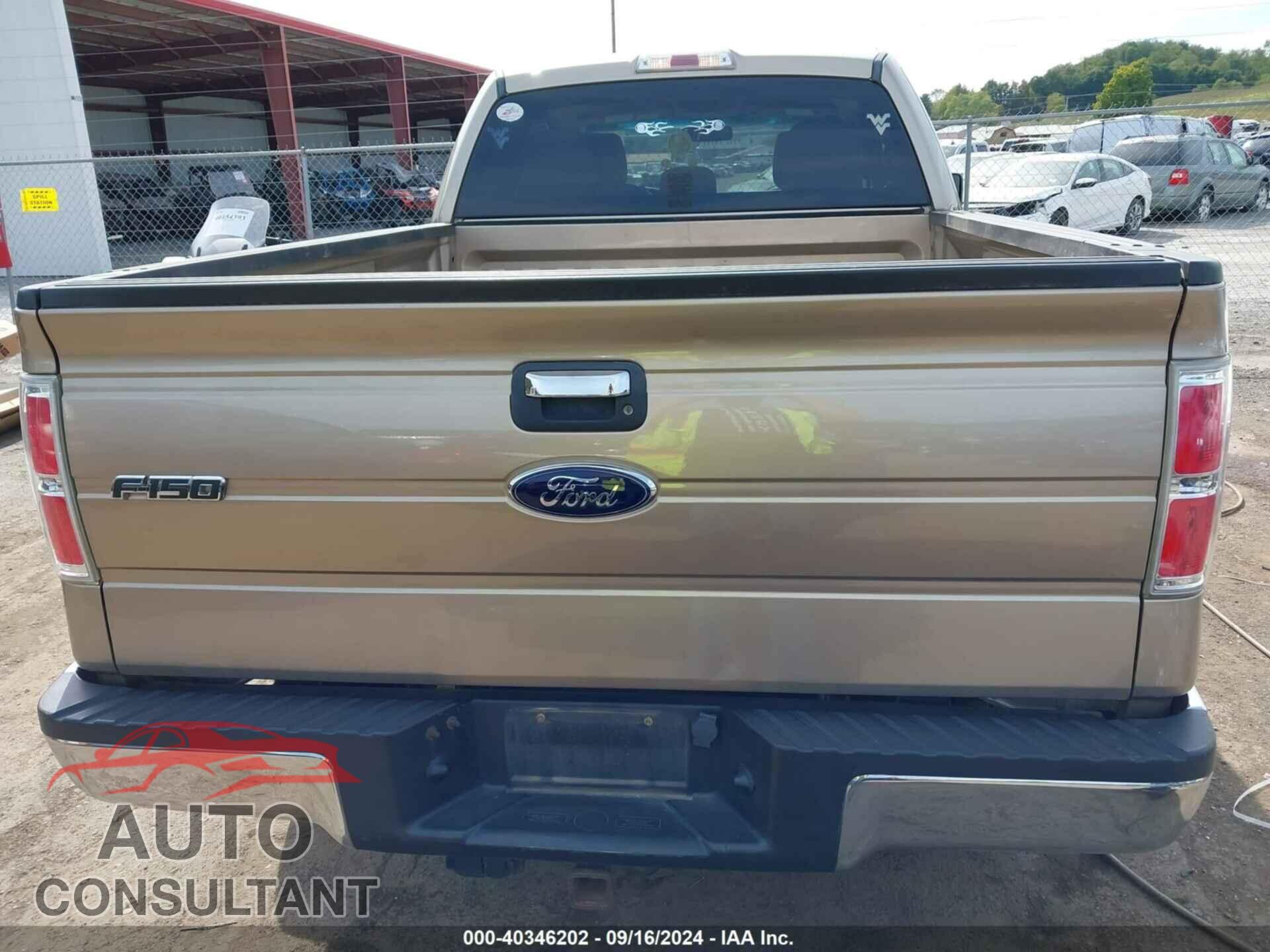 FORD F-150 2013 - 1FTFX1CTXDFD46920