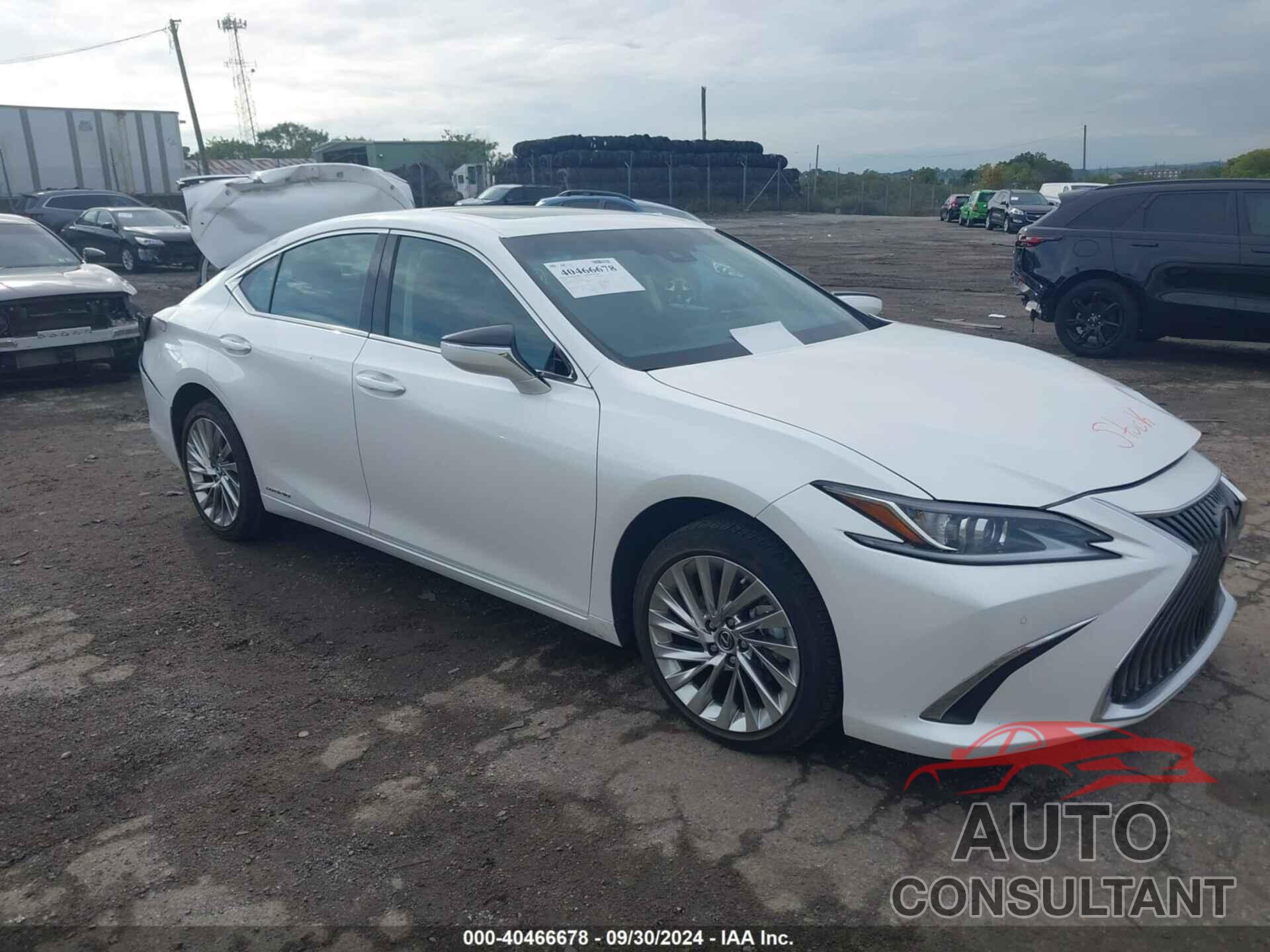 LEXUS ES 300H 2020 - 58AE21B11LU006287