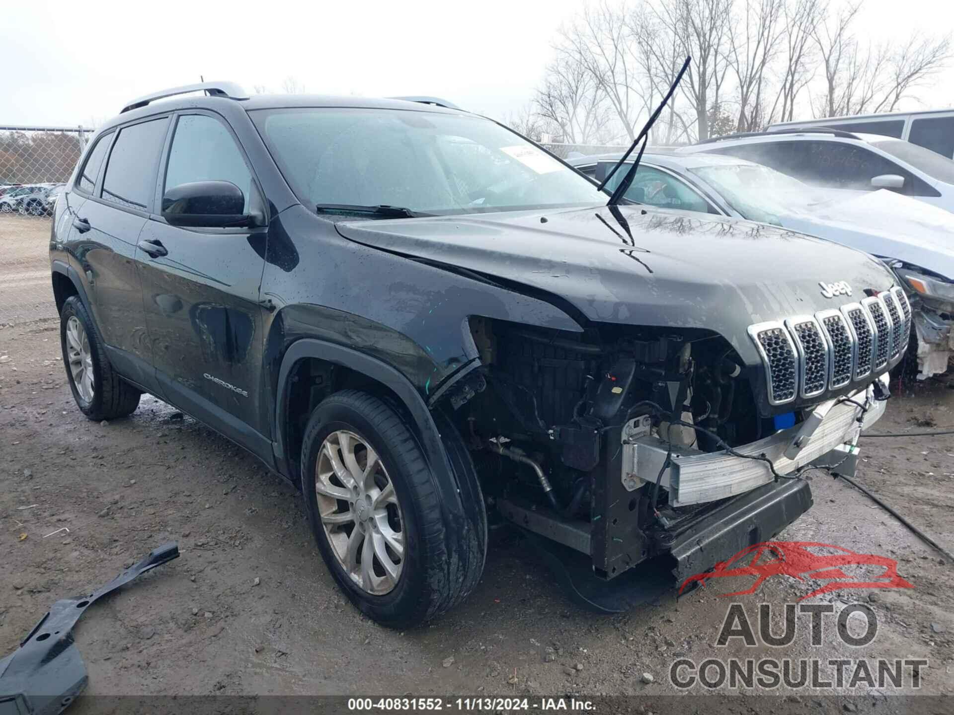 JEEP CHEROKEE 2020 - 1C4PJLCBXLD619261