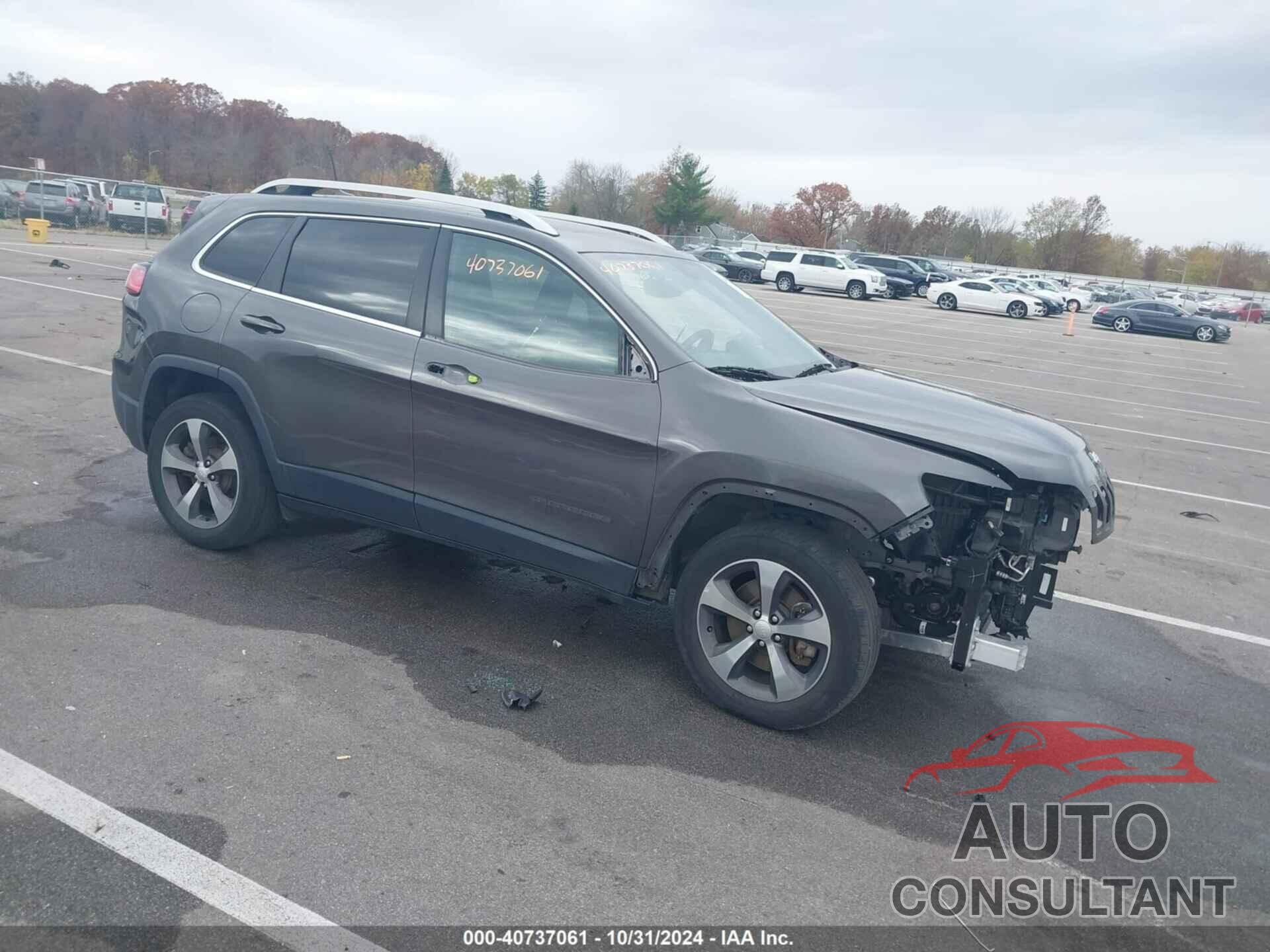JEEP CHEROKEE 2019 - 1C4PJMDX9KD141042