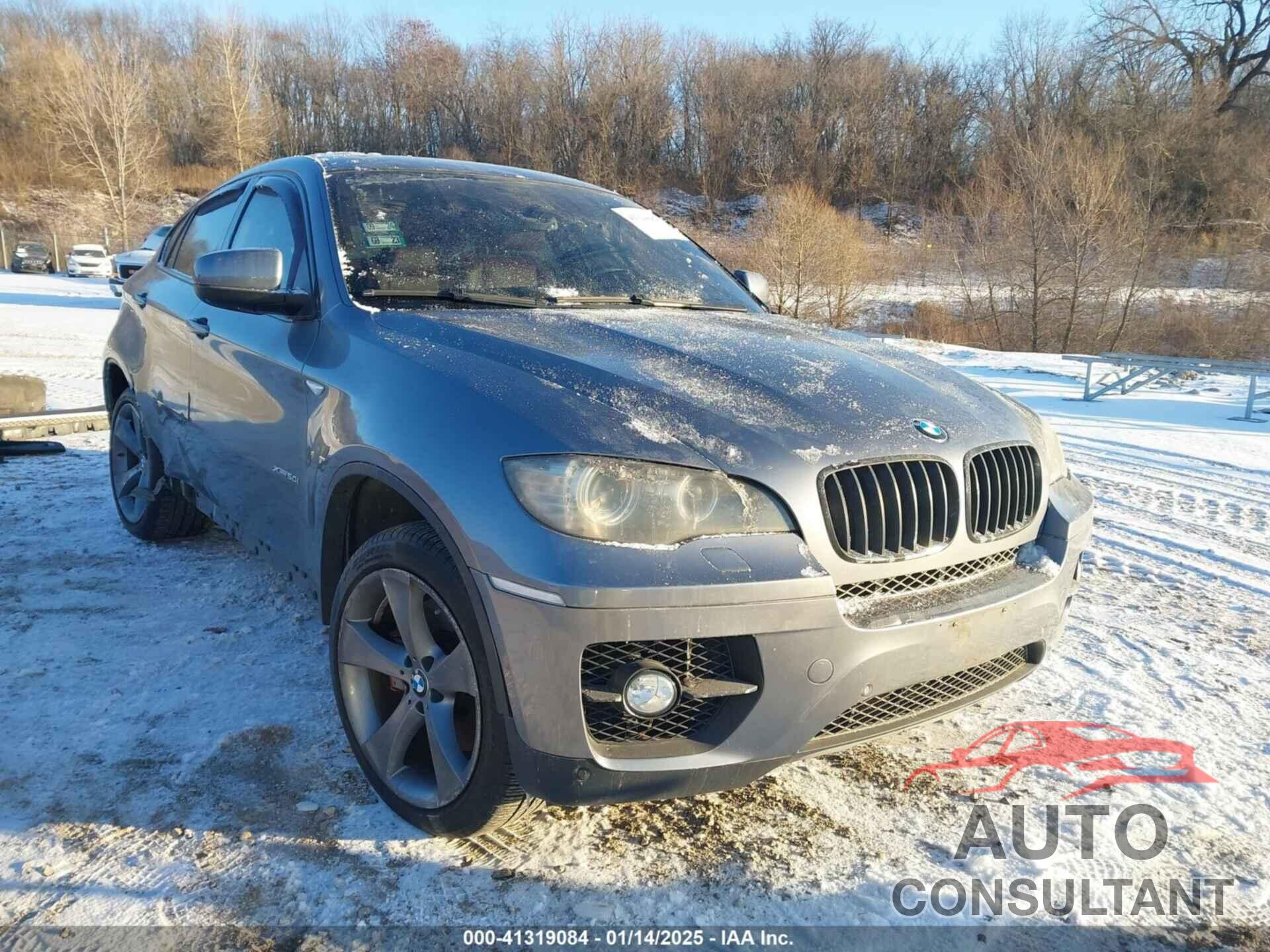 BMW X6 2010 - 5UXFG8C51ALZ94801