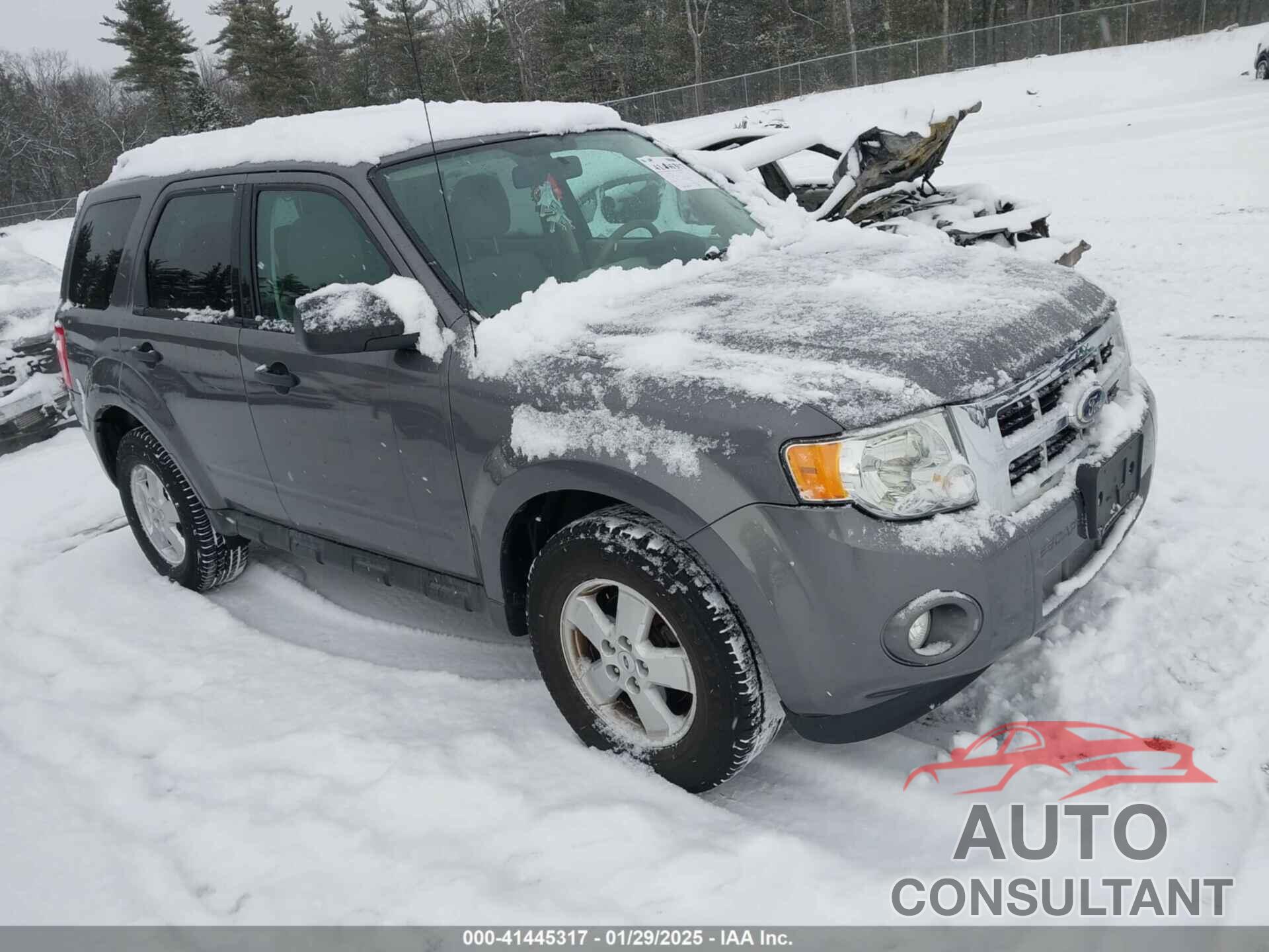 FORD ESCAPE 2011 - 1FMCU9D7XBKA02788