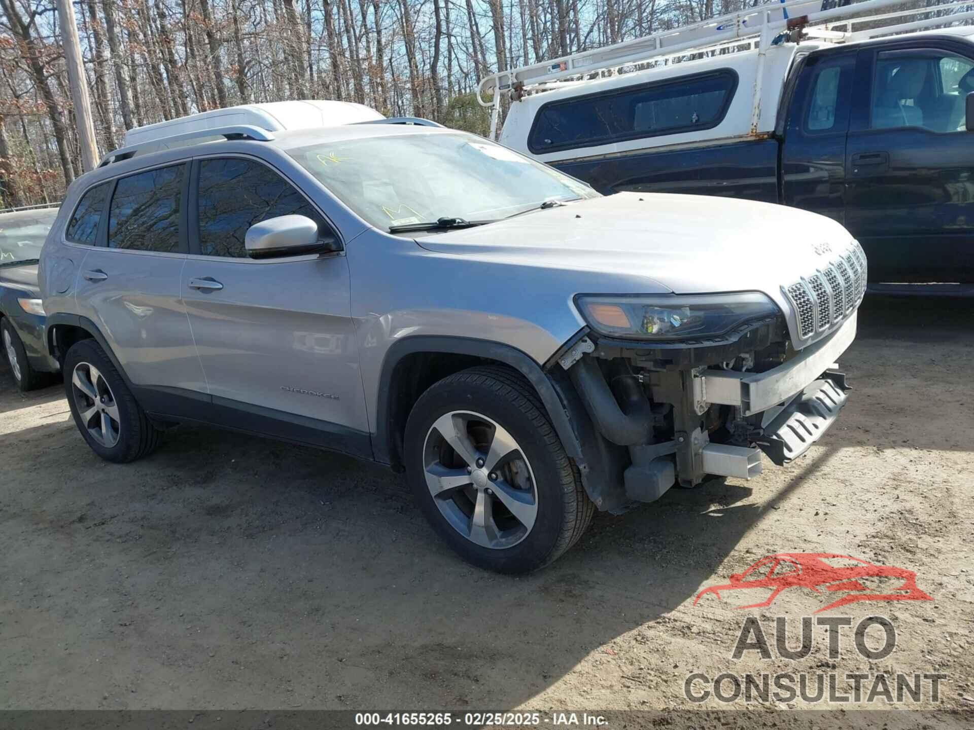 JEEP CHEROKEE 2019 - 1C4PJMDX1KD423367