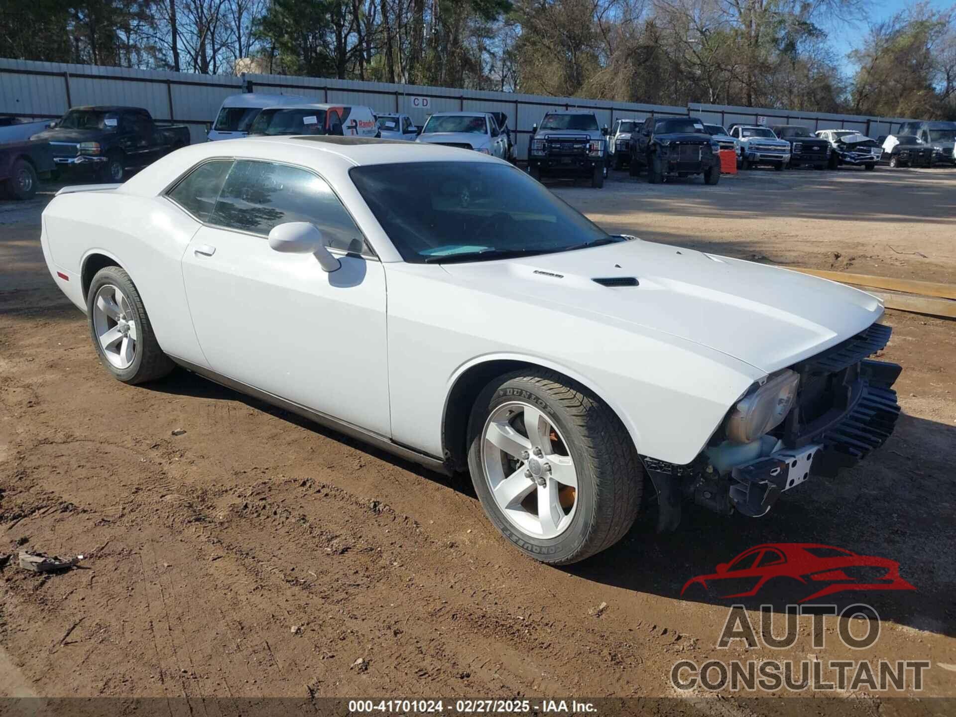 DODGE CHALLENGER 2013 - 2C3CDYBT5DH705034