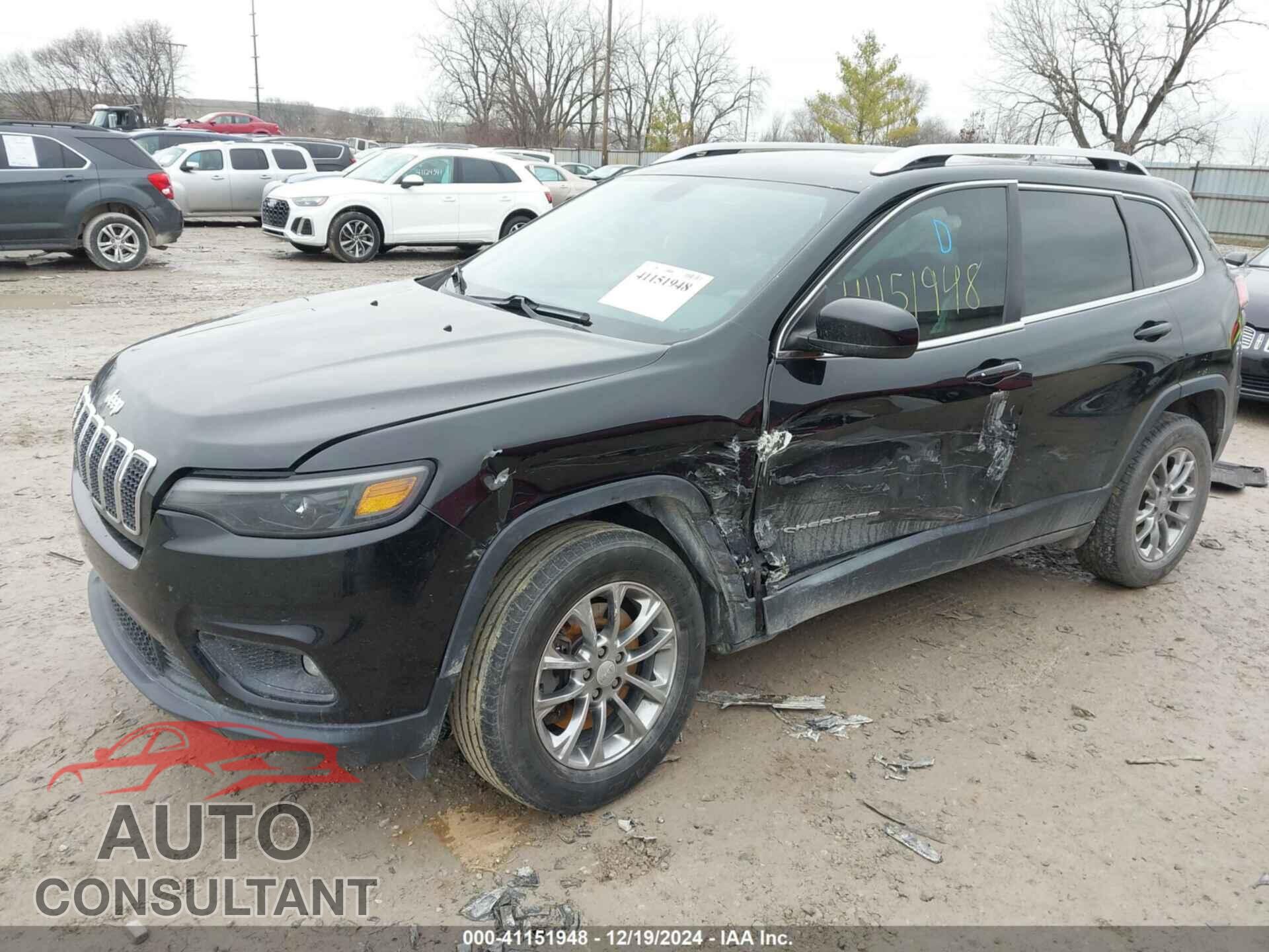 JEEP CHEROKEE 2019 - 1C4PJMLB2KD211471