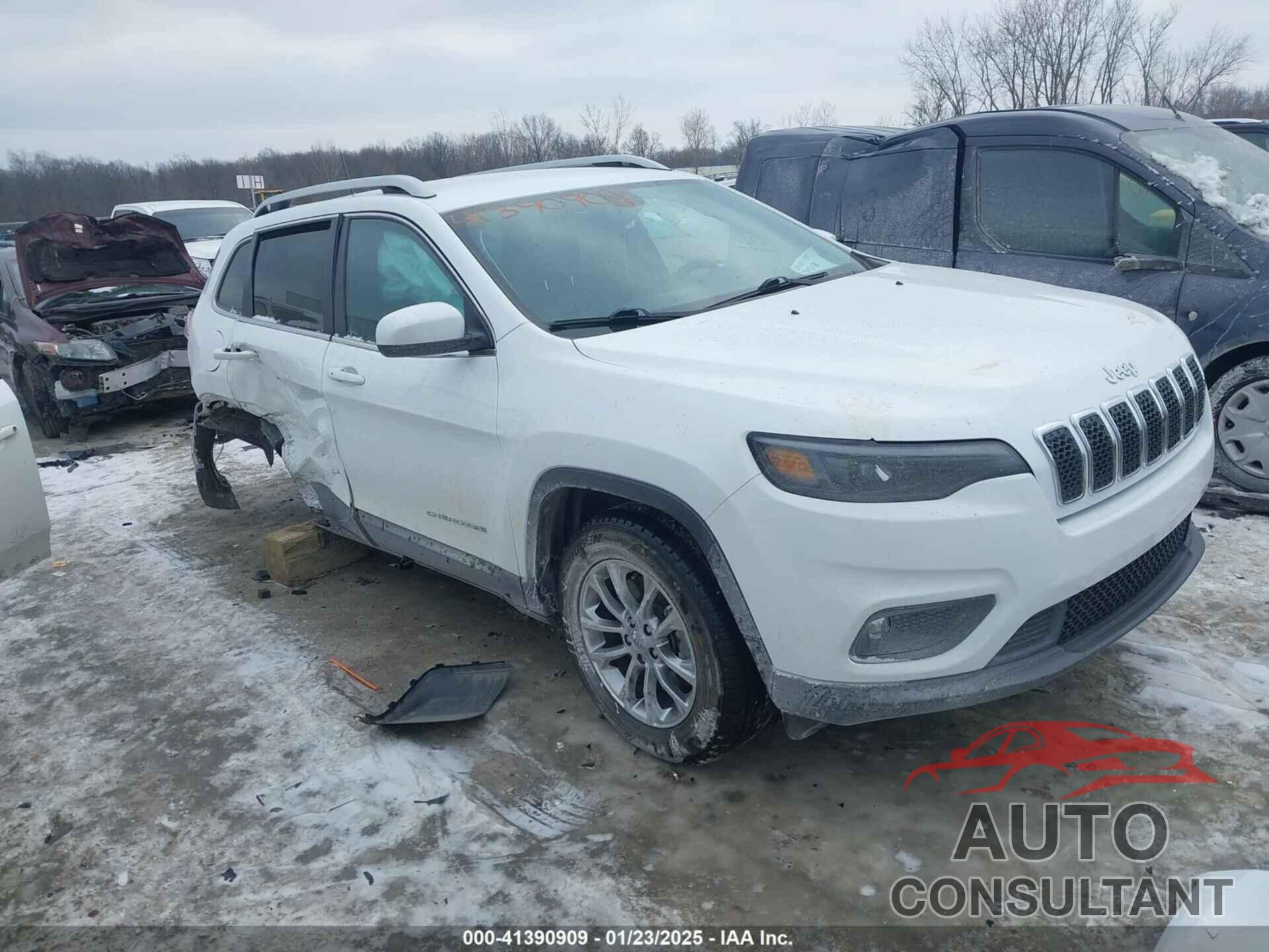 JEEP CHEROKEE 2020 - 1C4PJMLB4LD590782
