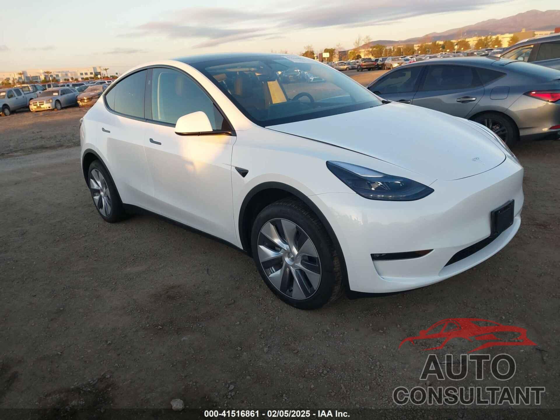 TESLA MODEL Y 2024 - 7SAYGDEE7RA254359