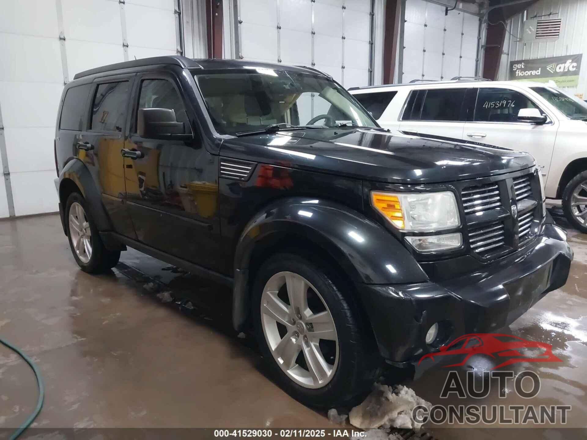 DODGE NITRO 2011 - 1D4PU4GK1BW602572