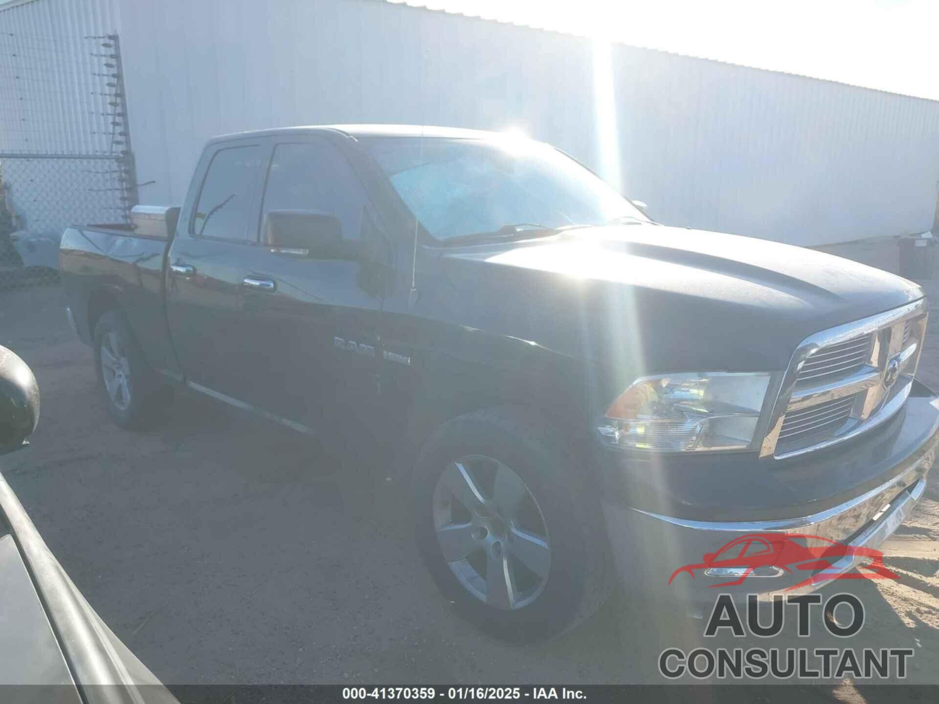 DODGE RAM 1500 2010 - 1D7RB1GT0AS132520