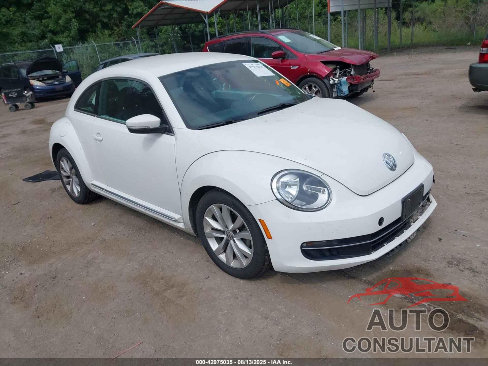 VOLKSWAGEN BEETLE 2014 - 3VWRL7AT8EM614294